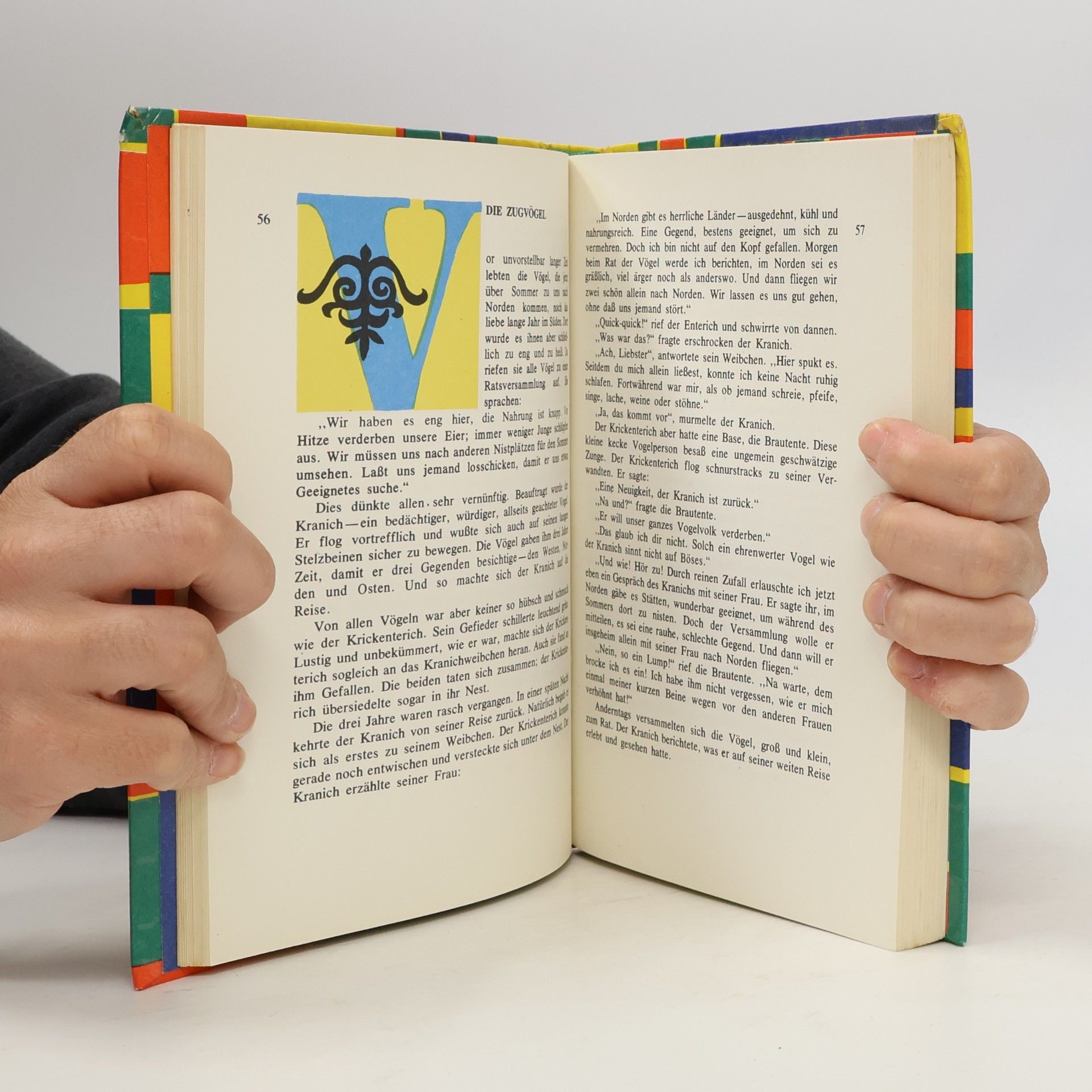 Autorenkollektiv Die Herrin des Feuers
