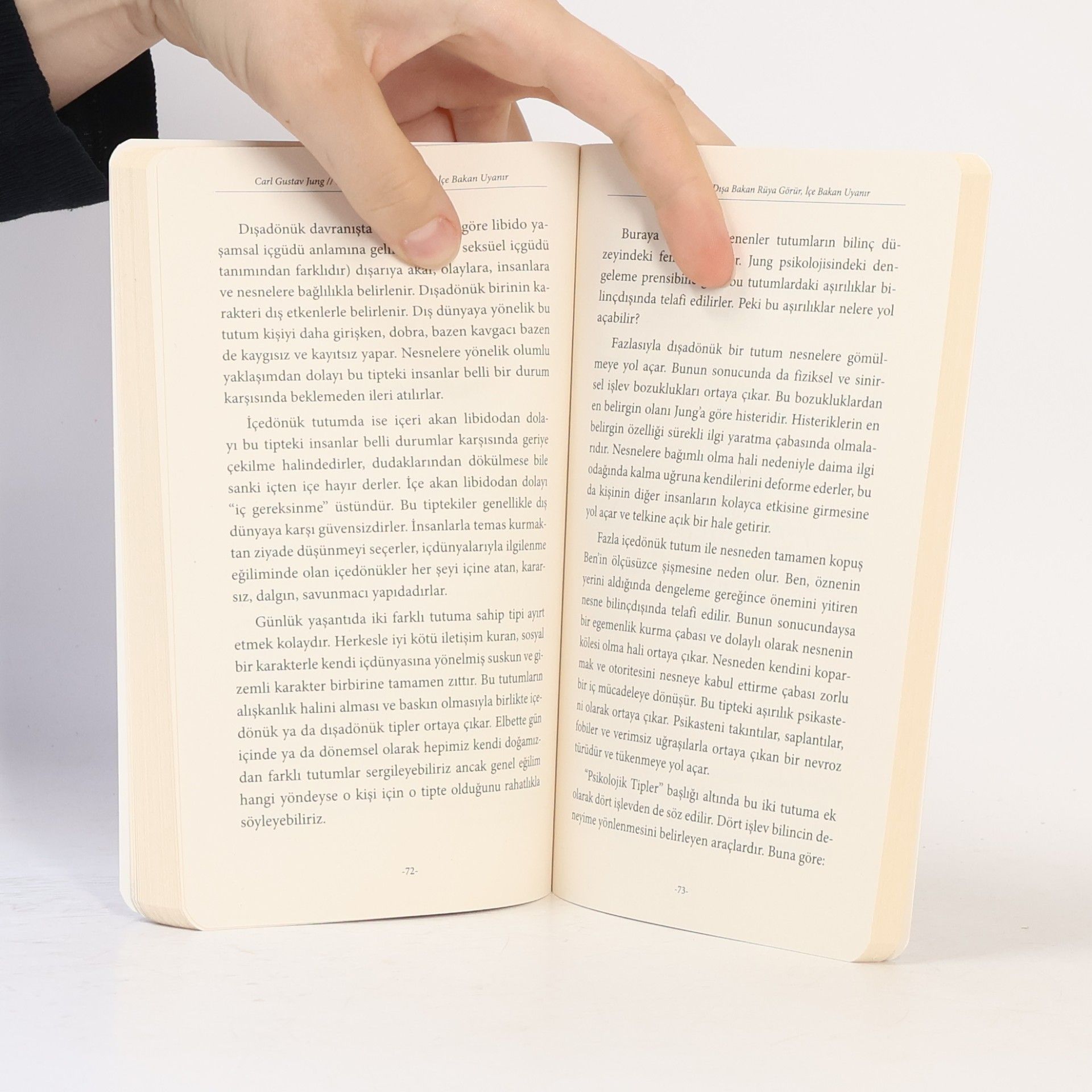 Carl Jung Destek & Felsefe: Dışa bakan rüya görür, içe bakan uyanır