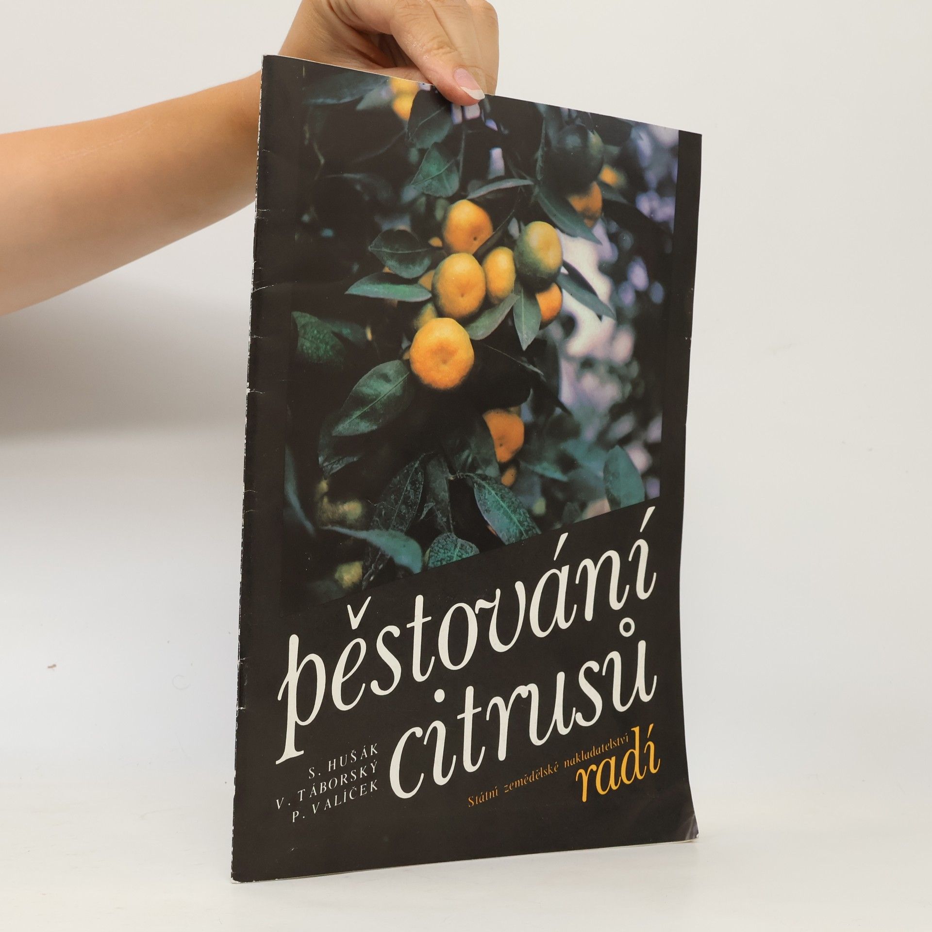 Stanislav Hušák Pěstování citrusů