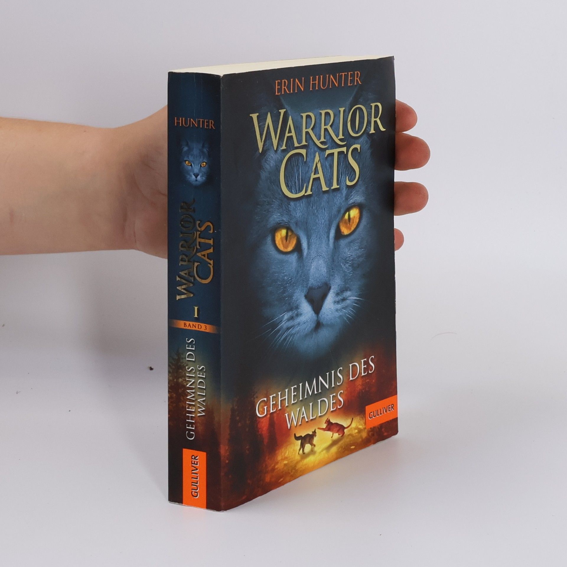 Erin Hunter Warrior Cats. Geheimnis des Waldes