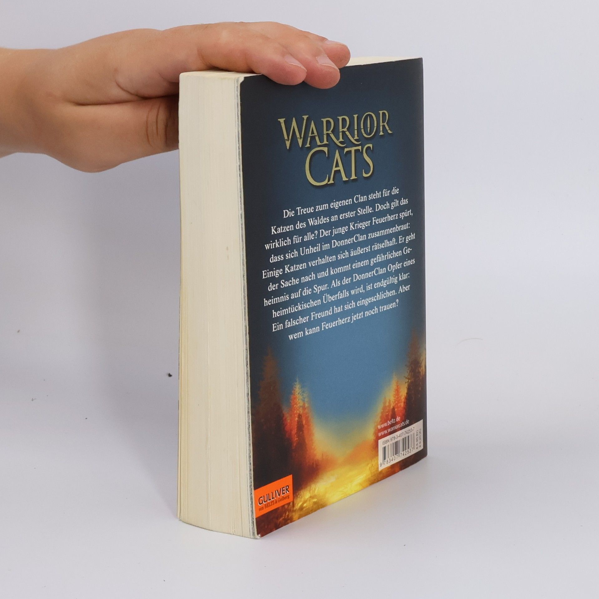 Erin Hunter Warrior Cats. Geheimnis des Waldes