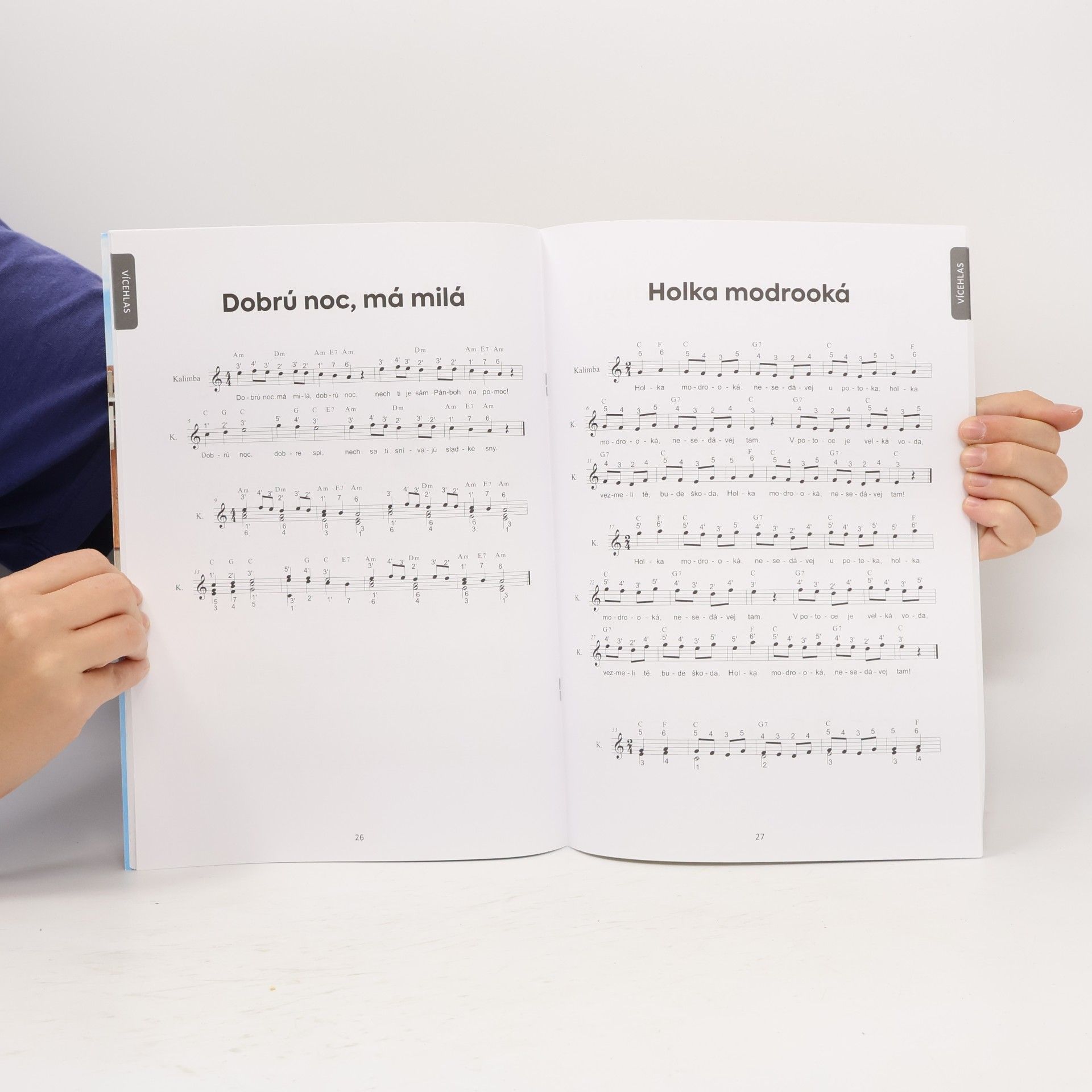 Ondřej Šárek Lidovky a koledy pro Kalimbu 2