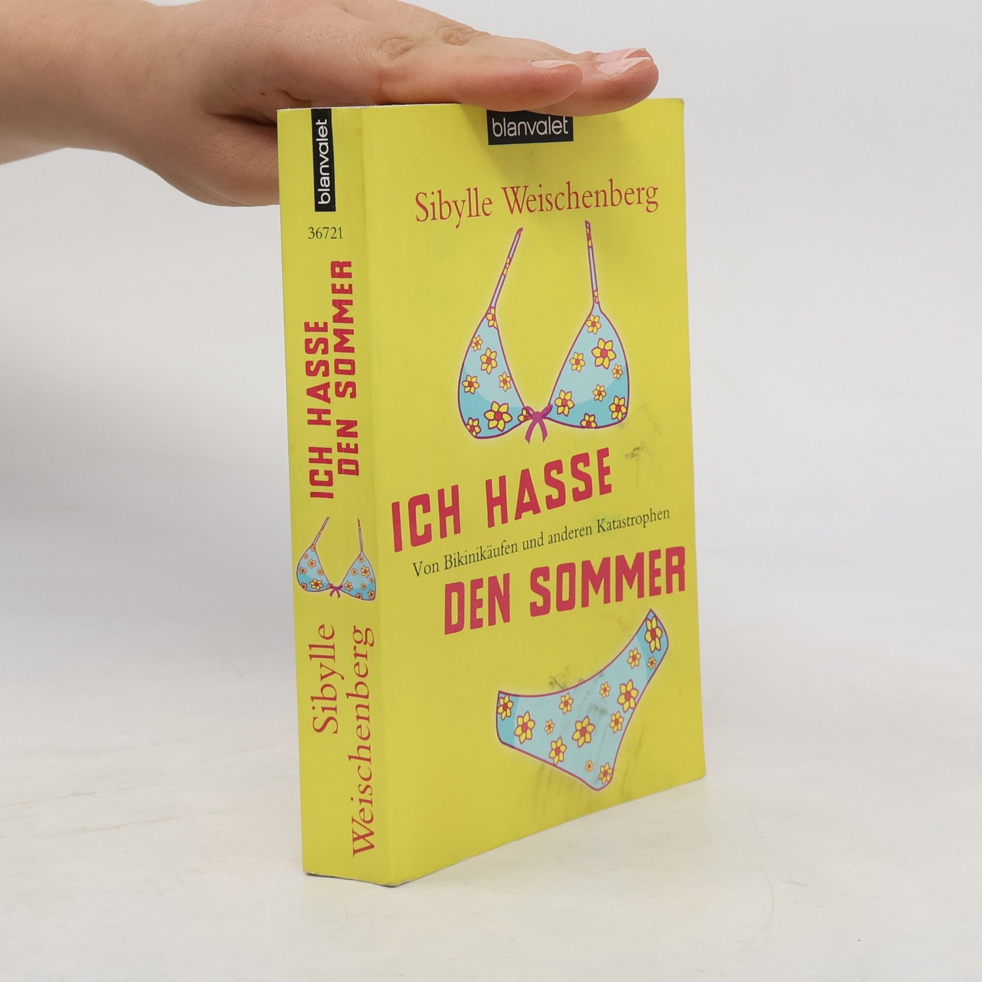 Sibylle Weischenberg Ich hasse den Sommer