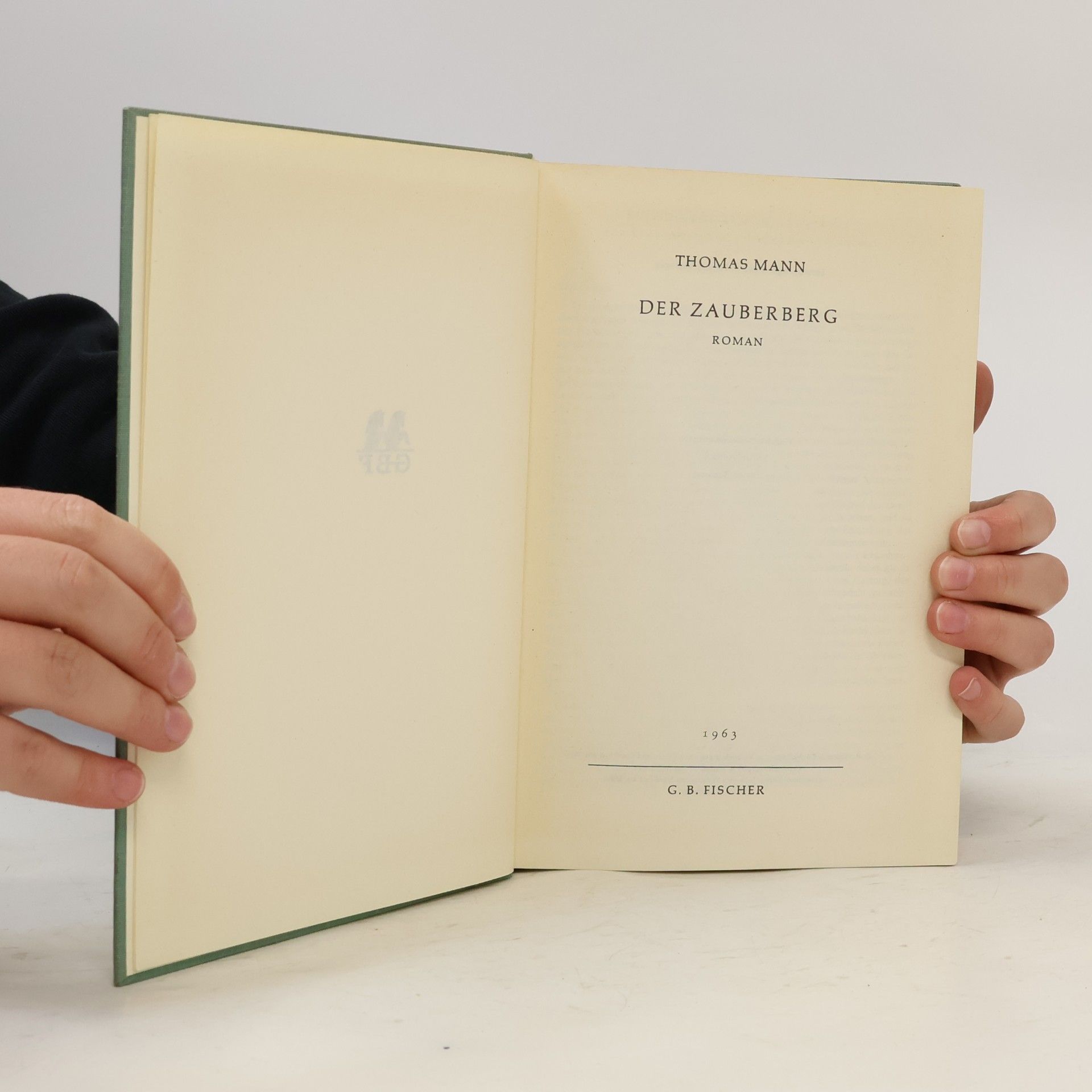Thomas Mann Der Zauberberg
