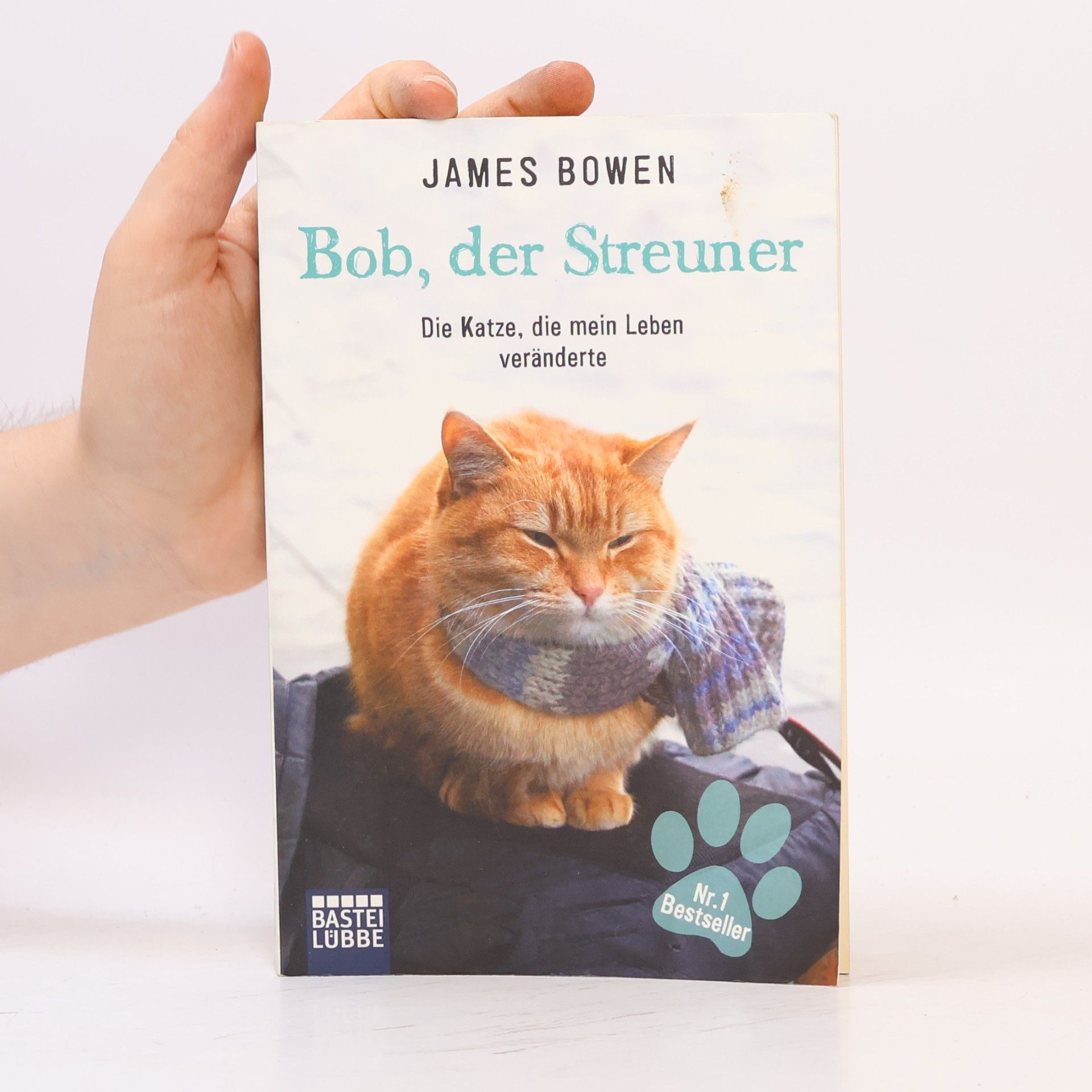 James Bowen Bob, der Streuner