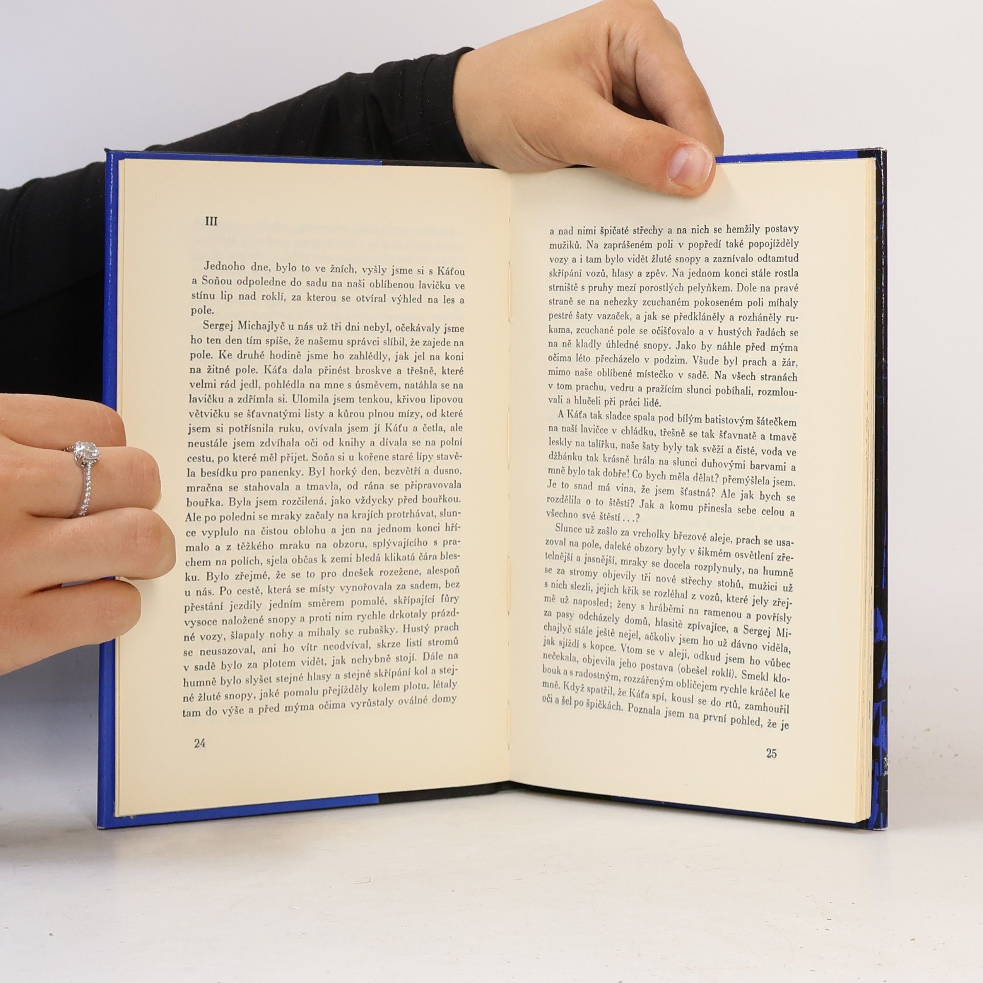 Lew Nikolajewitsch Tolstoi Rodinné štěstí