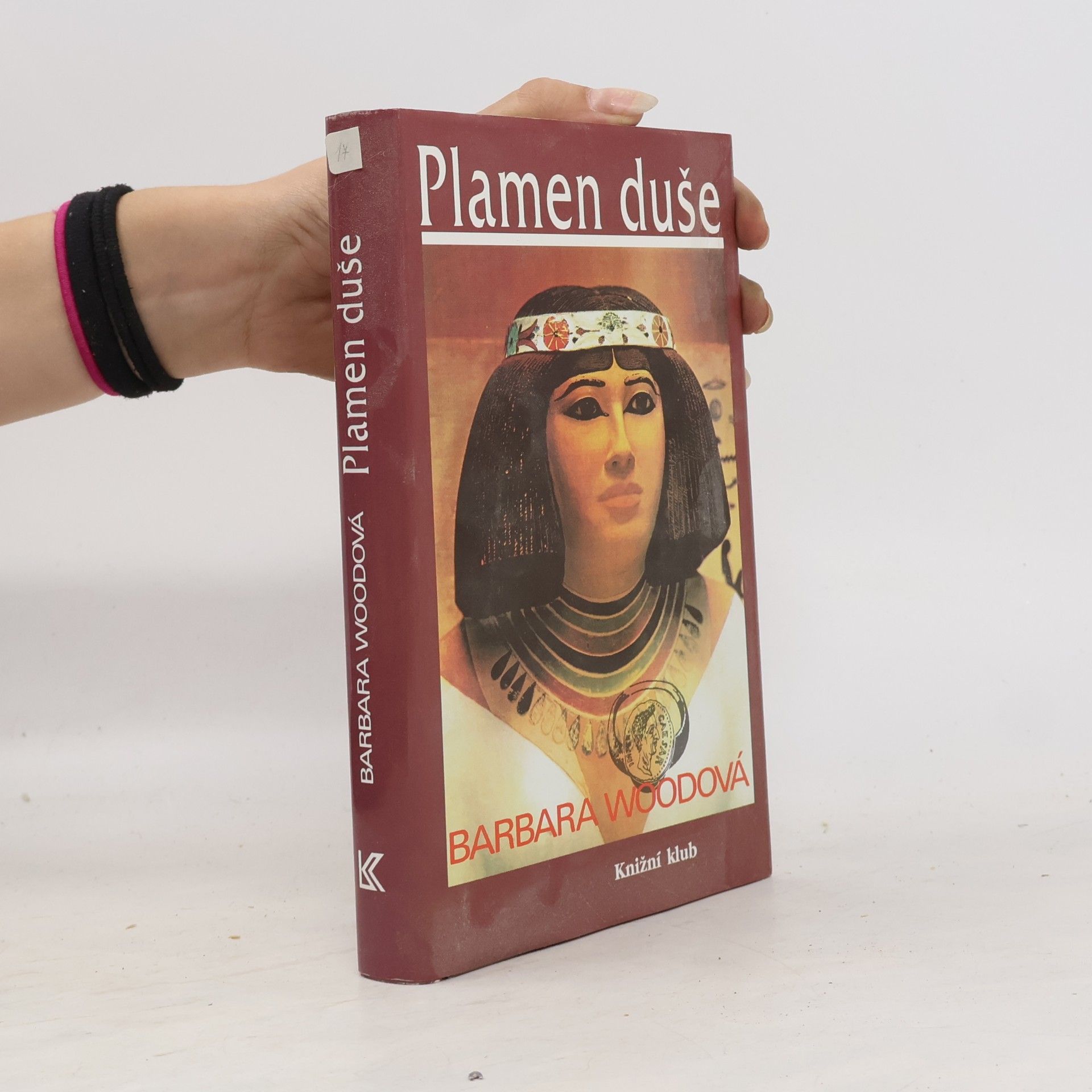 Barbara Wood Plamen duše