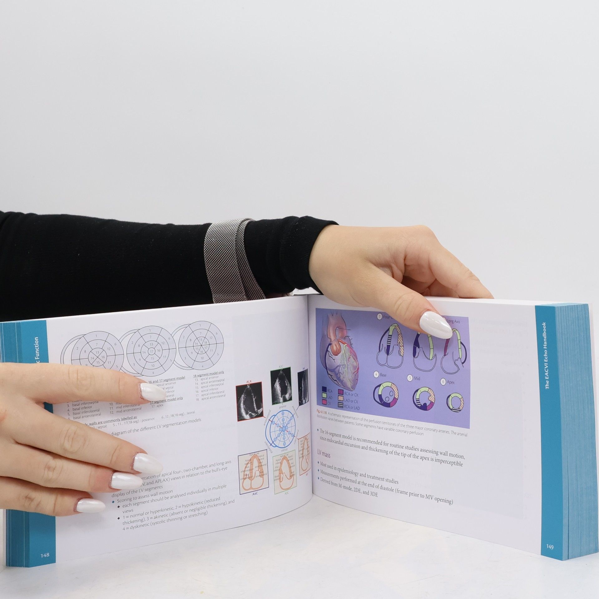 Bernard Cosyns The EACVI Echo Handbook