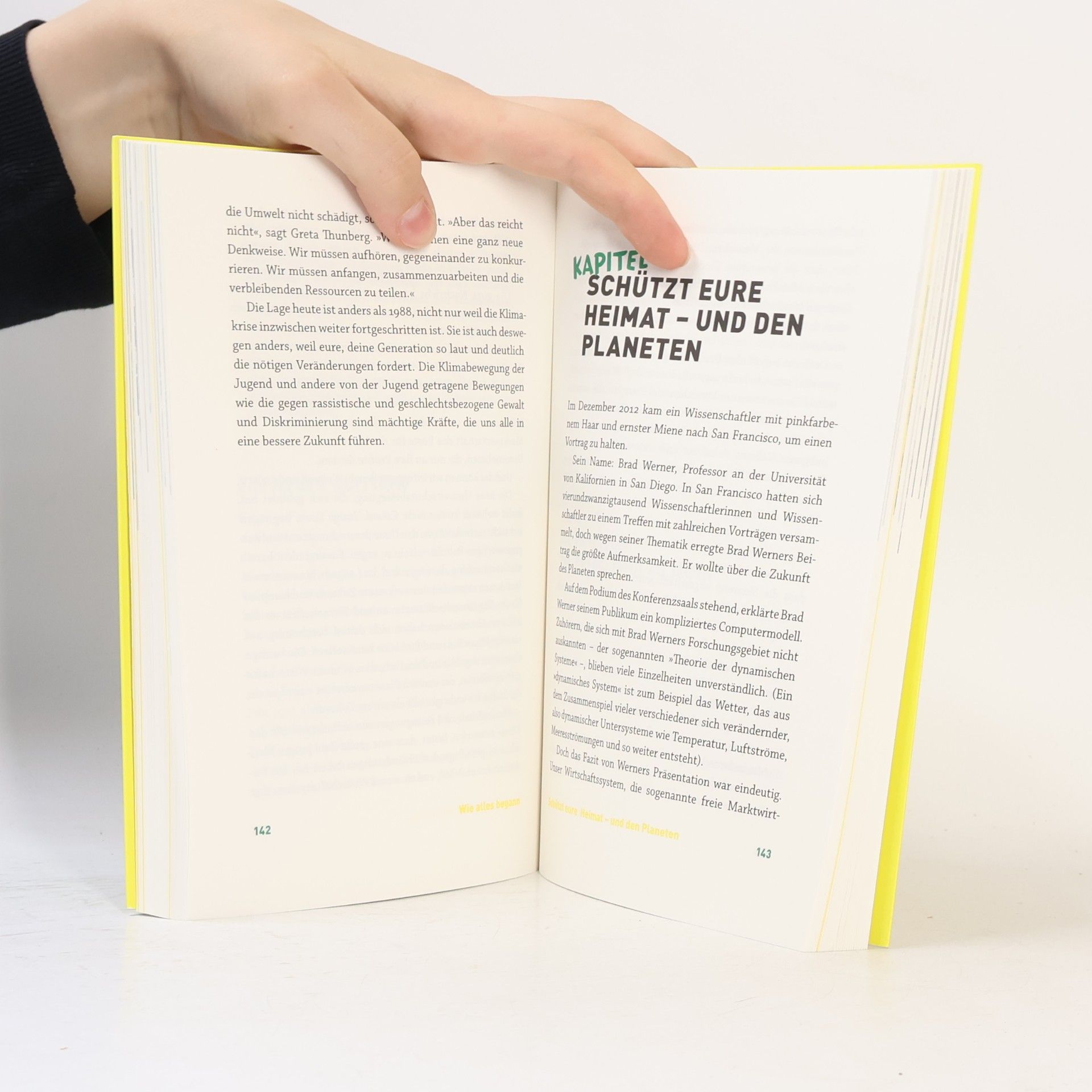 Naomi Klein How to Change Everything