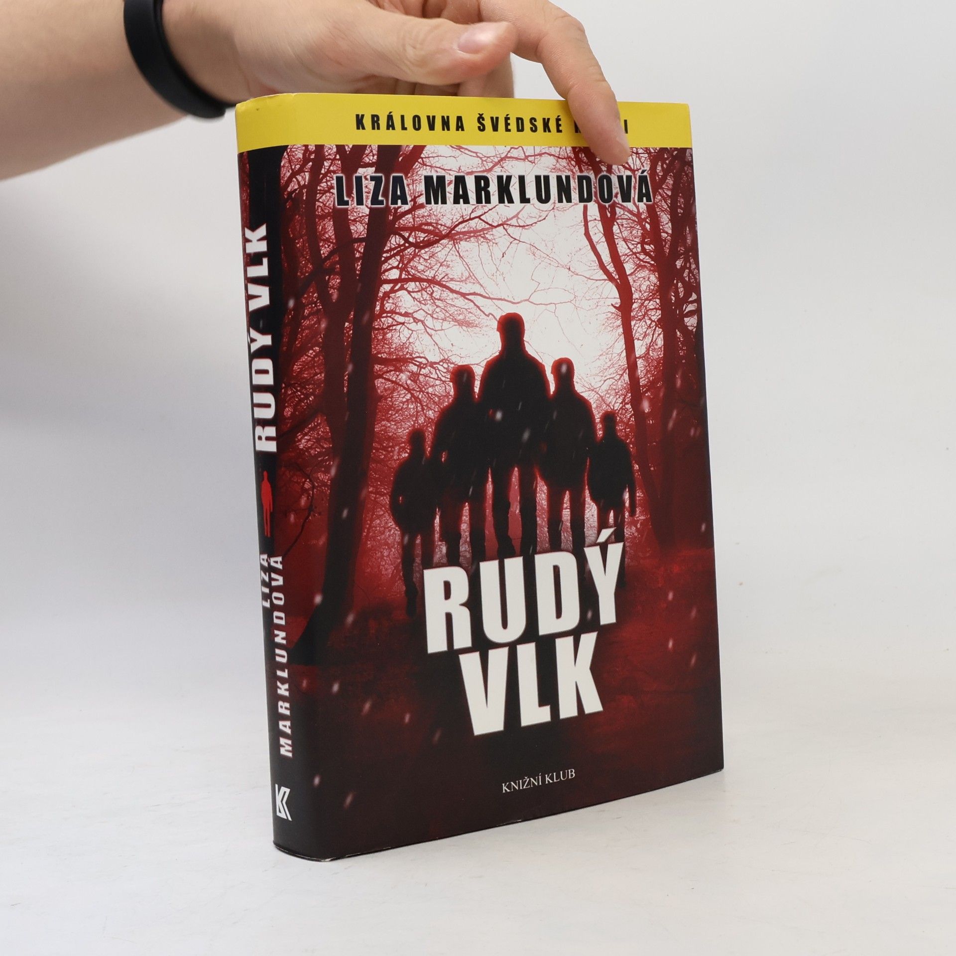 Liza Marklund Rudý vlk