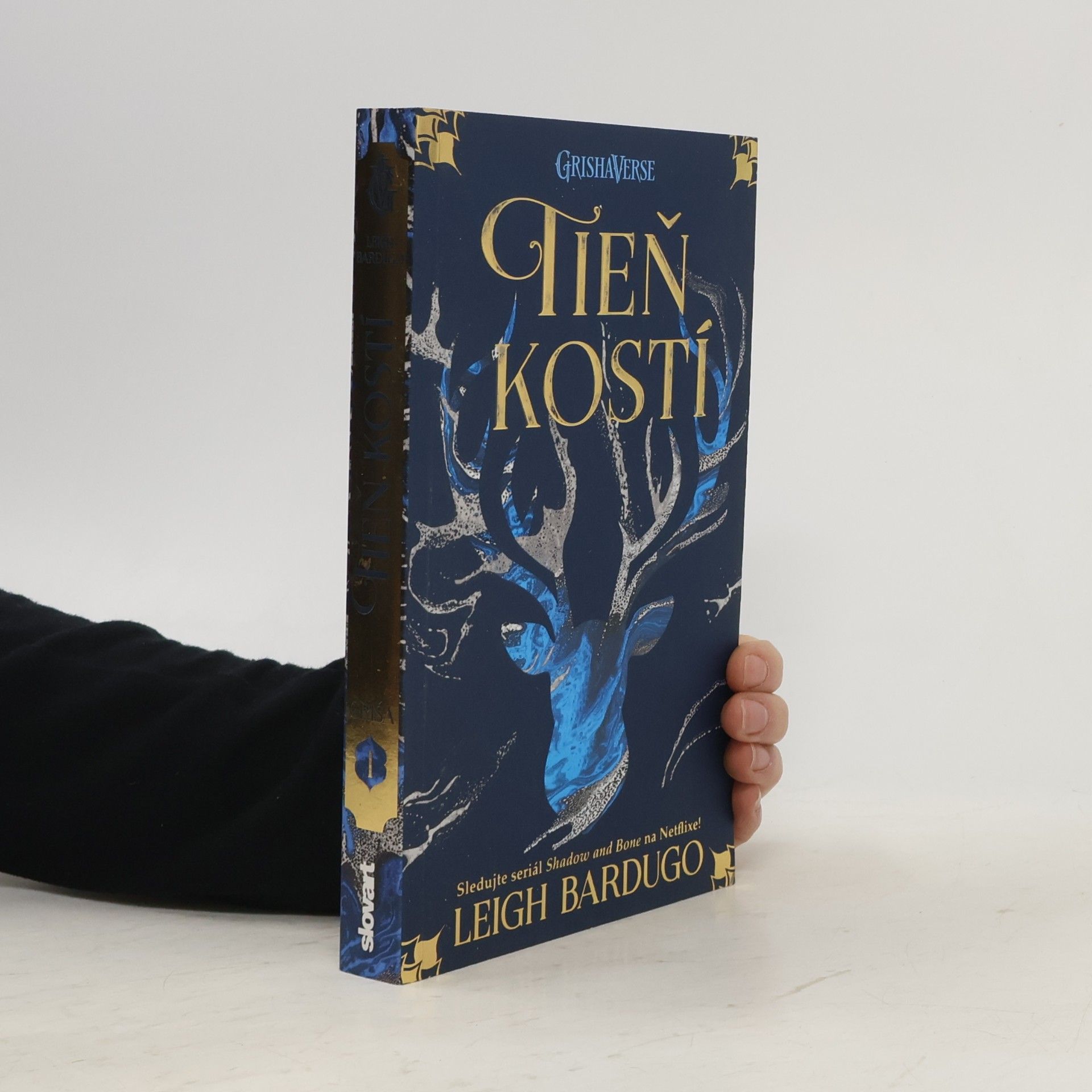 Leigh Bardugo Tieň kostí