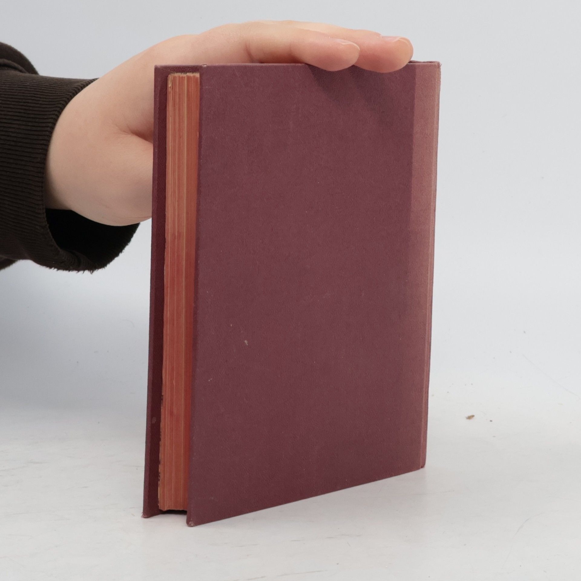 Kolektiv autorů Havlíček. List šířící pravdu v lidu. Rok 1922-1923