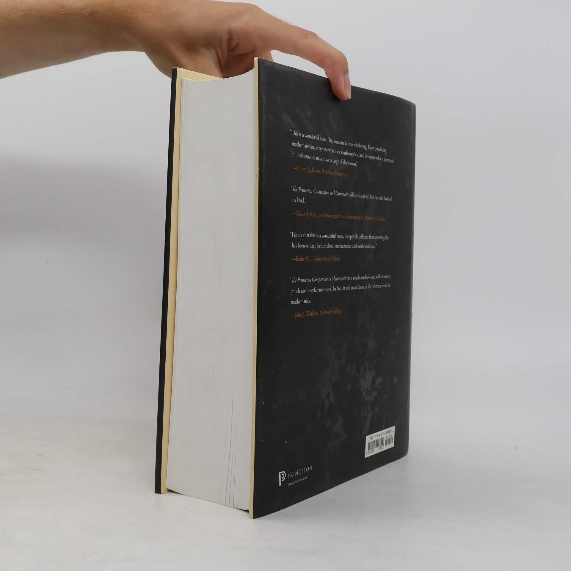 Timothy Gowers The Princeton Companion to Mathematics
