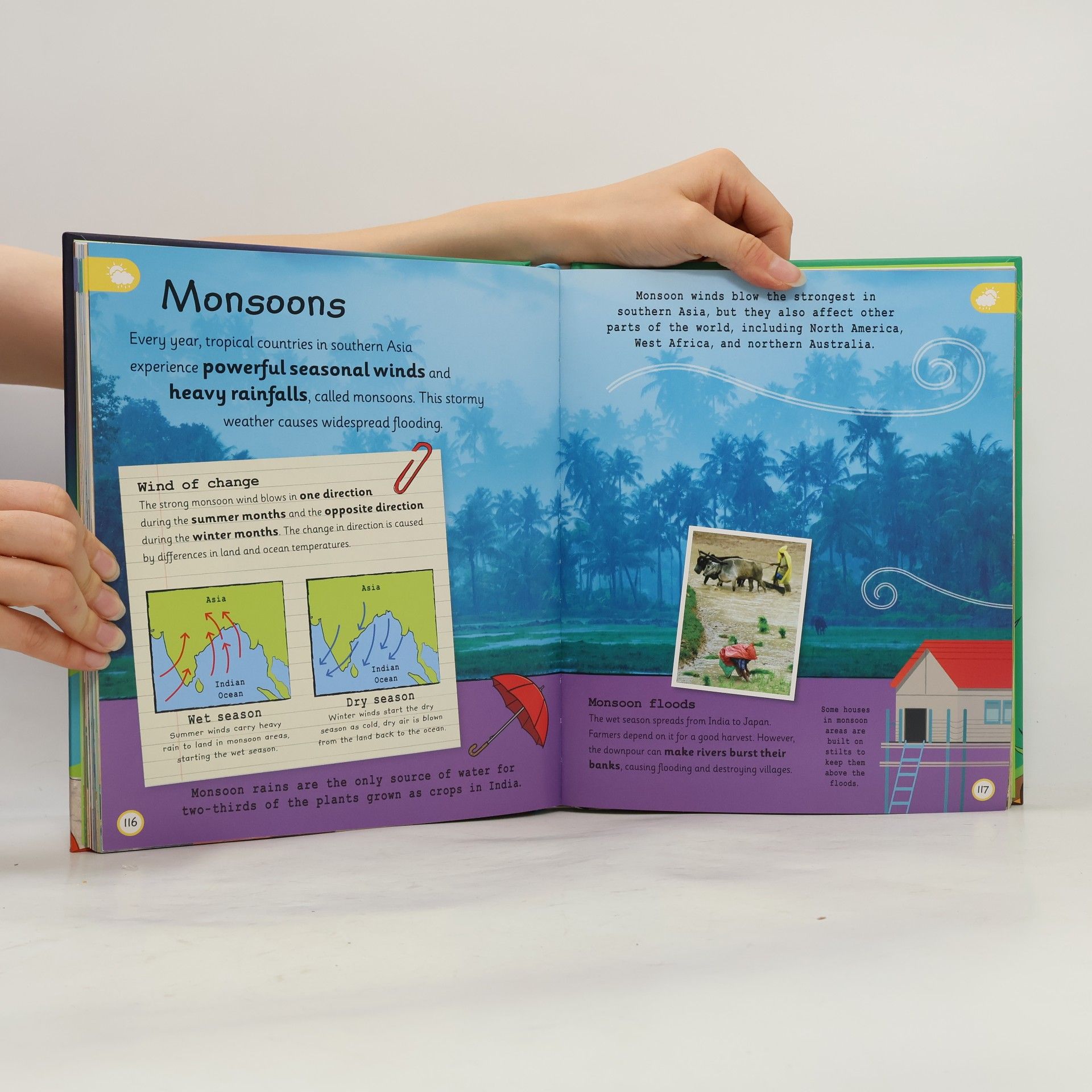 Autorenkollektiv My Very Important Earth Encyclopedia: For Little Learners Who Want to Know Our Planet