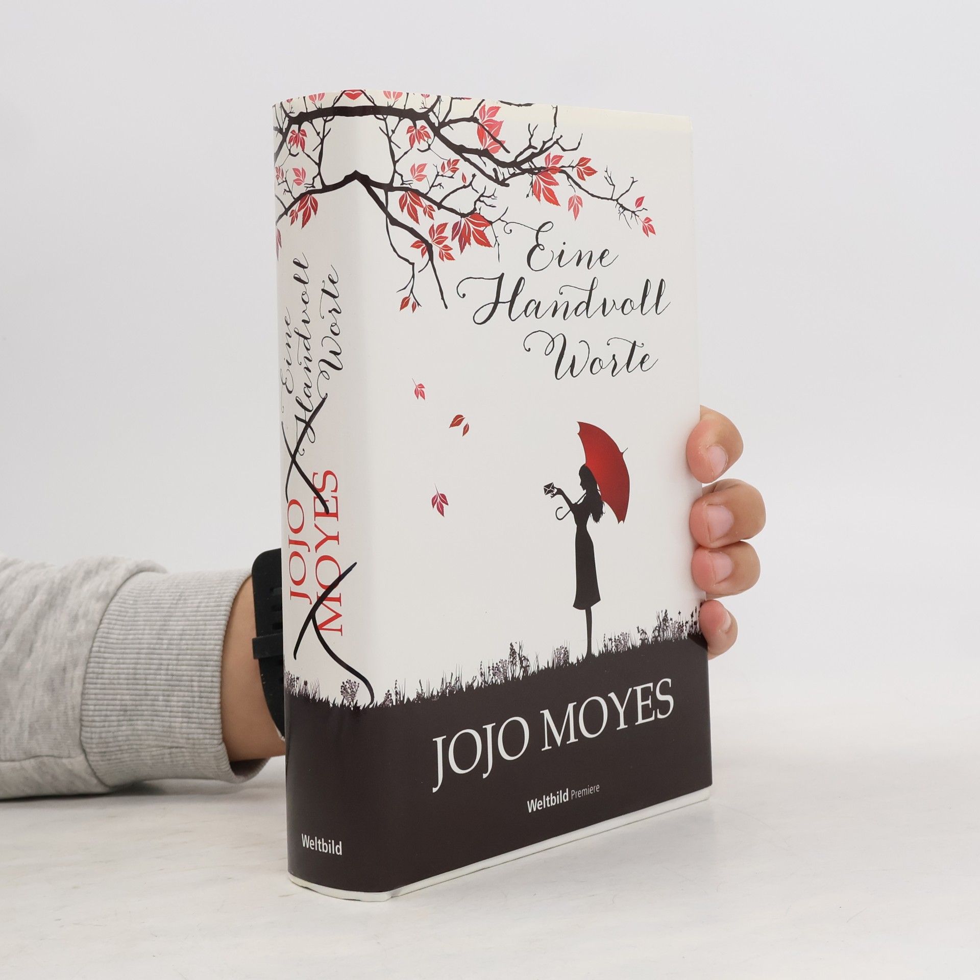 Jojo Moyes Eine handvoll Worte