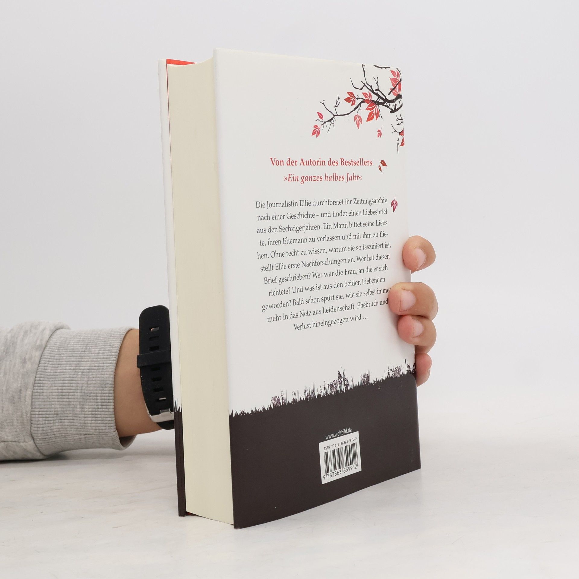 Jojo Moyes Eine handvoll Worte