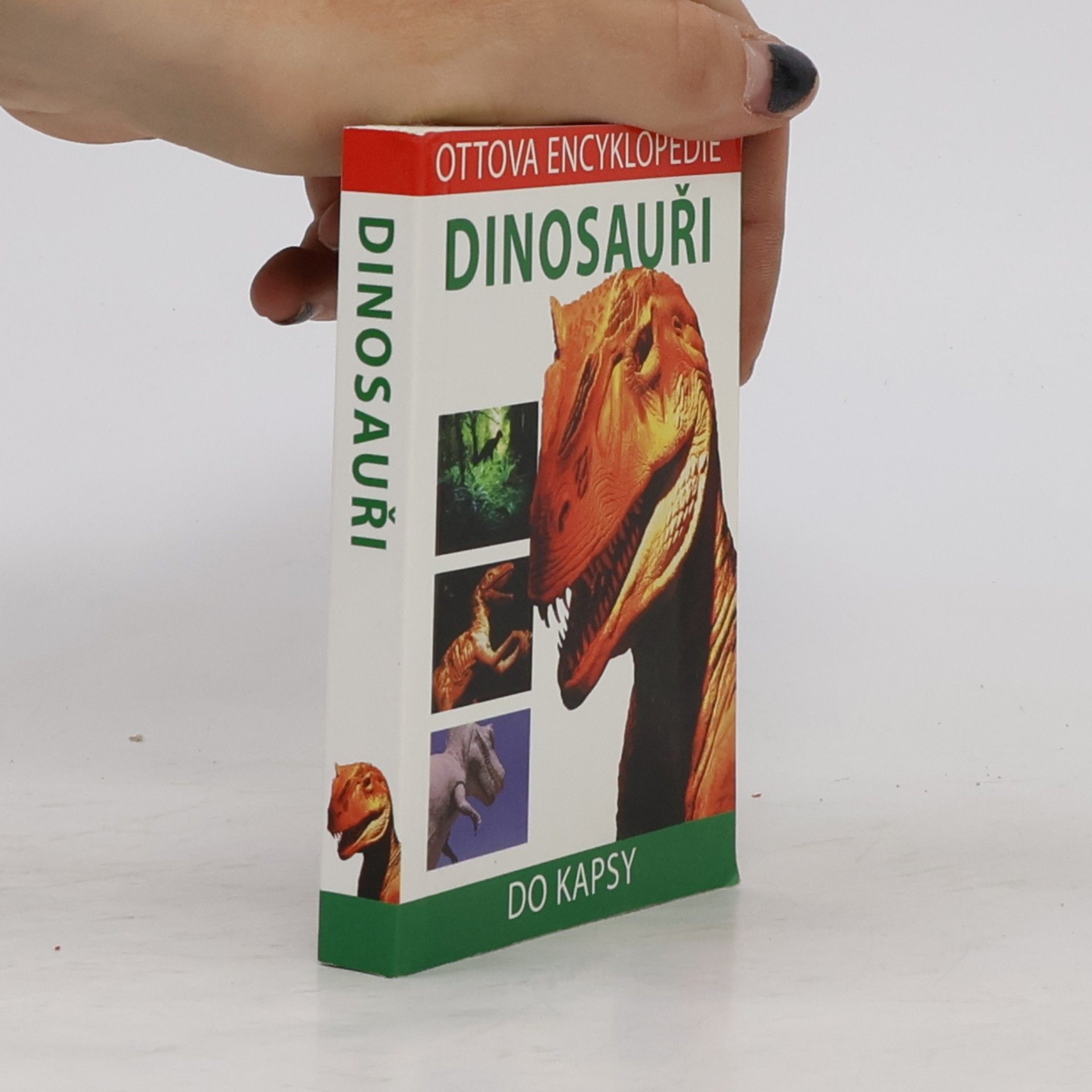 David Lambert Dinosauři