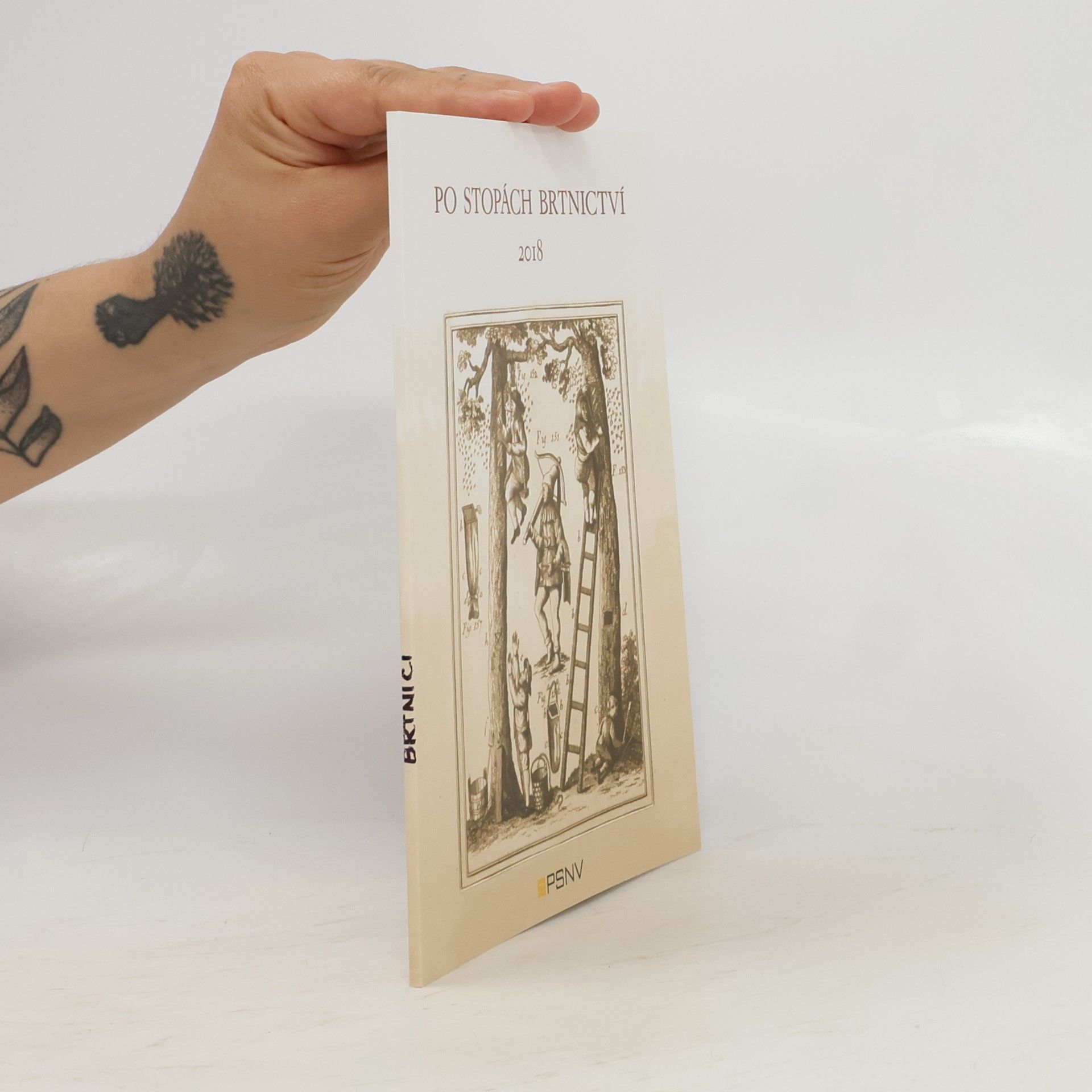 Autores varios Po stopách brtnictví