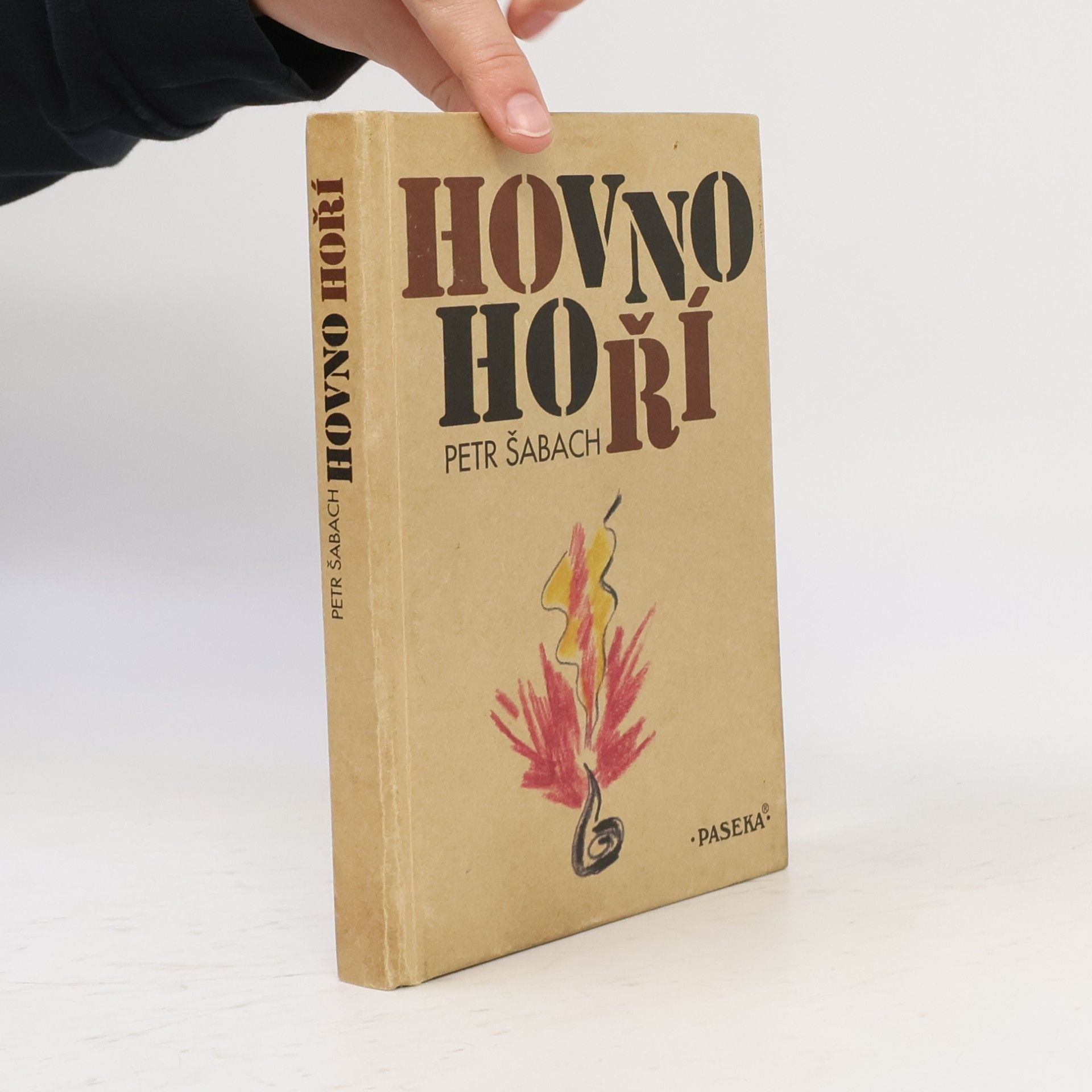 Petr Šabach Hovno hoří