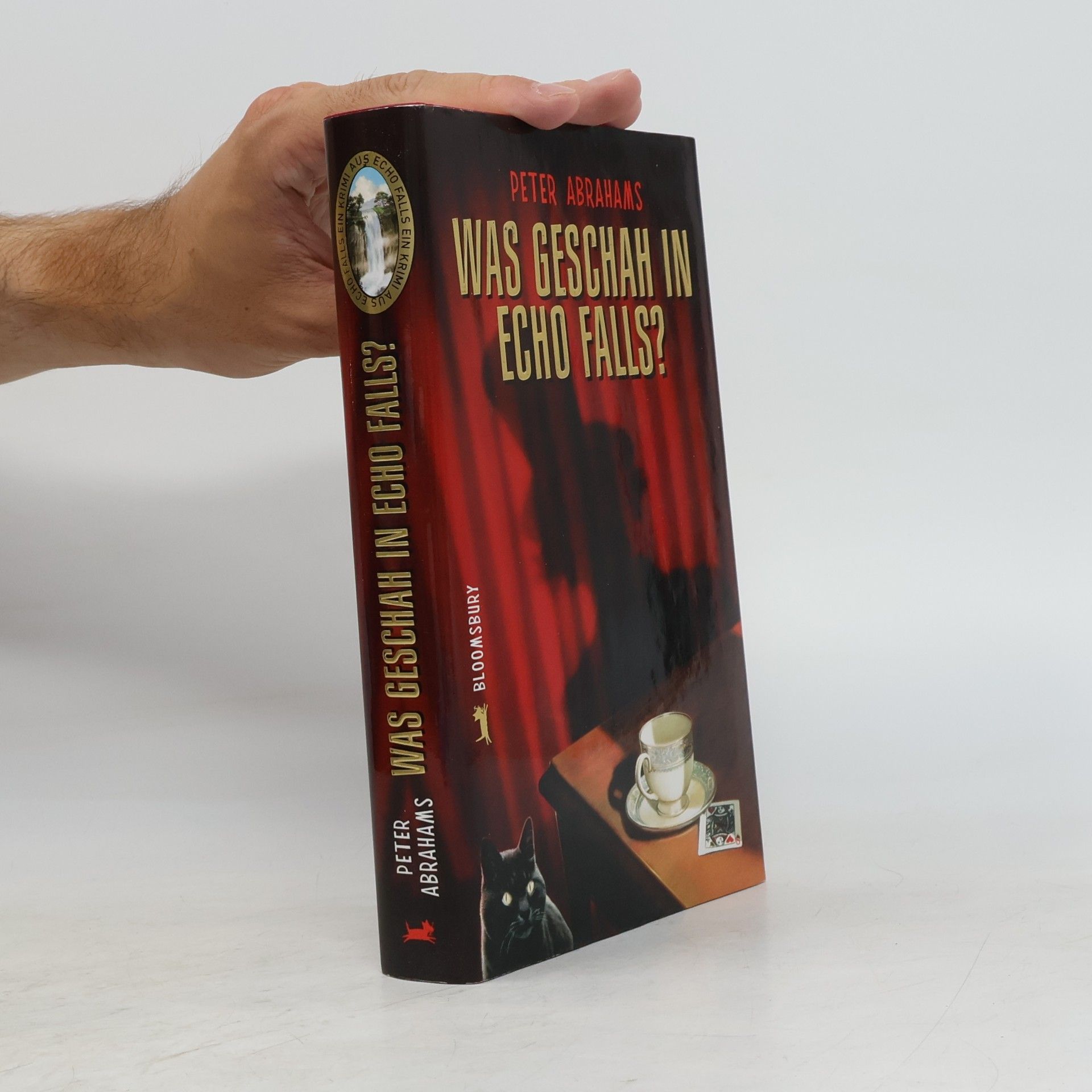 Was geschah in Echo Falls?