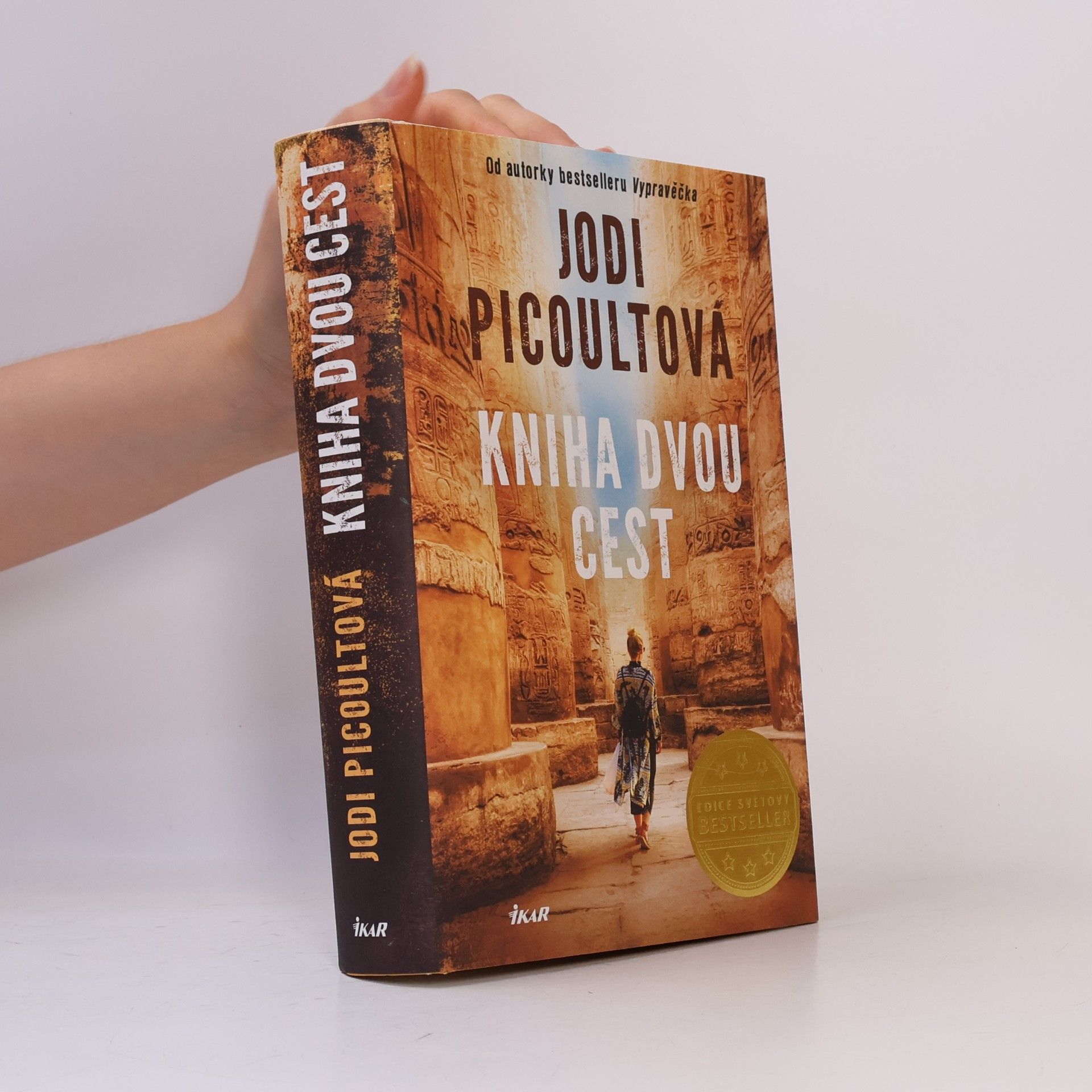 Jodi Picoult Kniha dvou cest