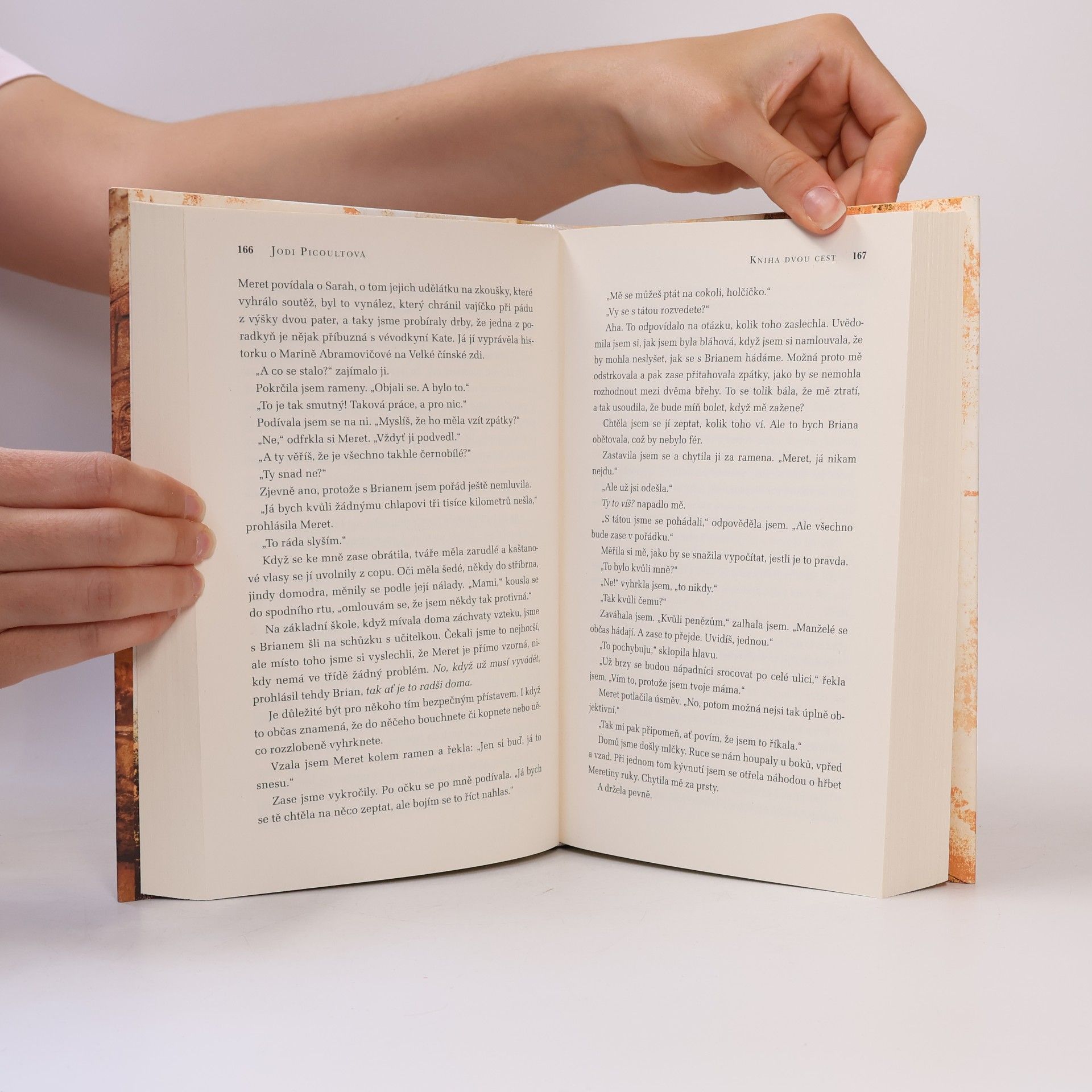 Jodi Picoult Kniha dvou cest