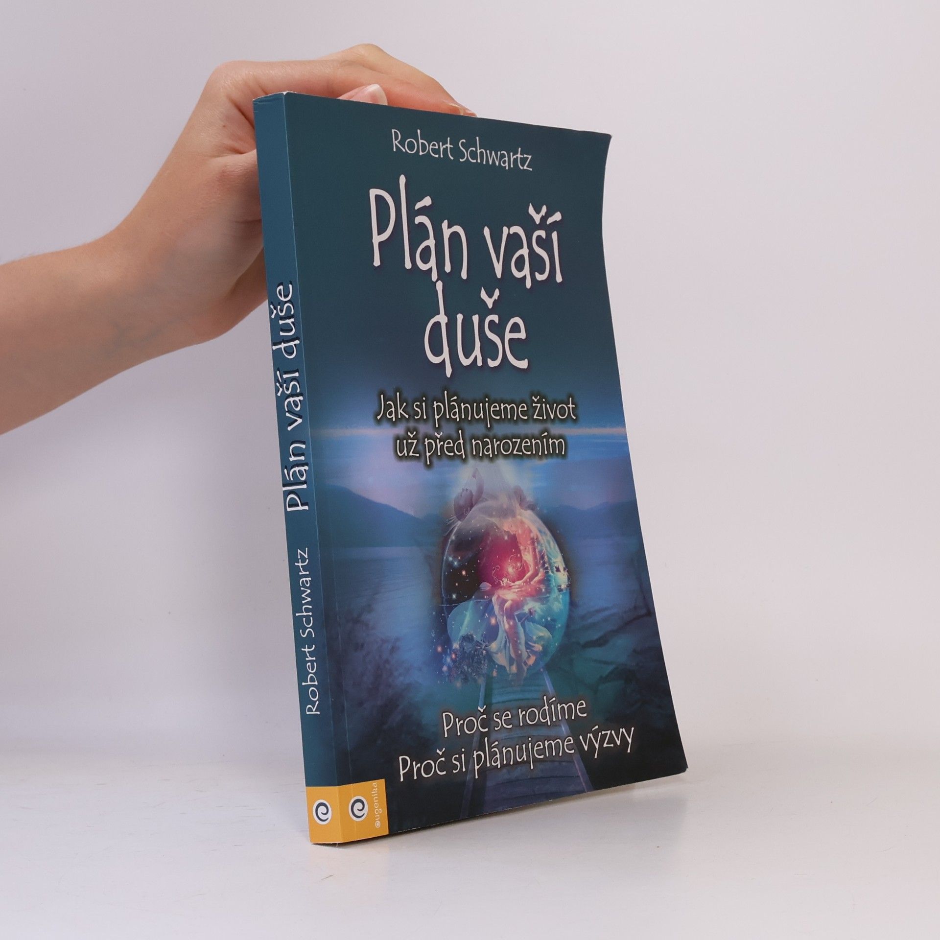 Zuzana Šestáková Plán vaší duše. Jak si plánujeme život už před narozením