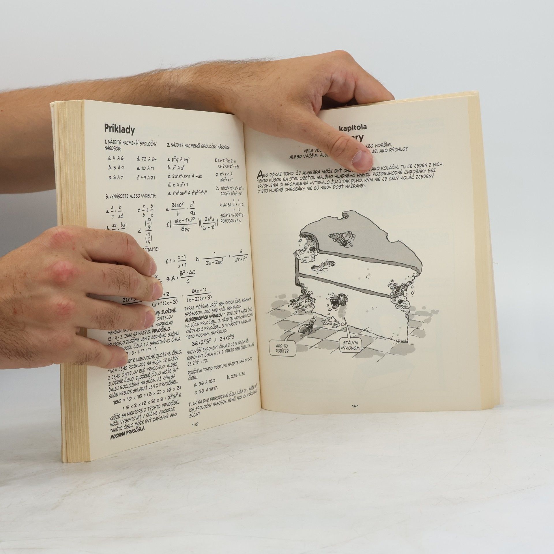 Larry Gonick Matematika v komikse