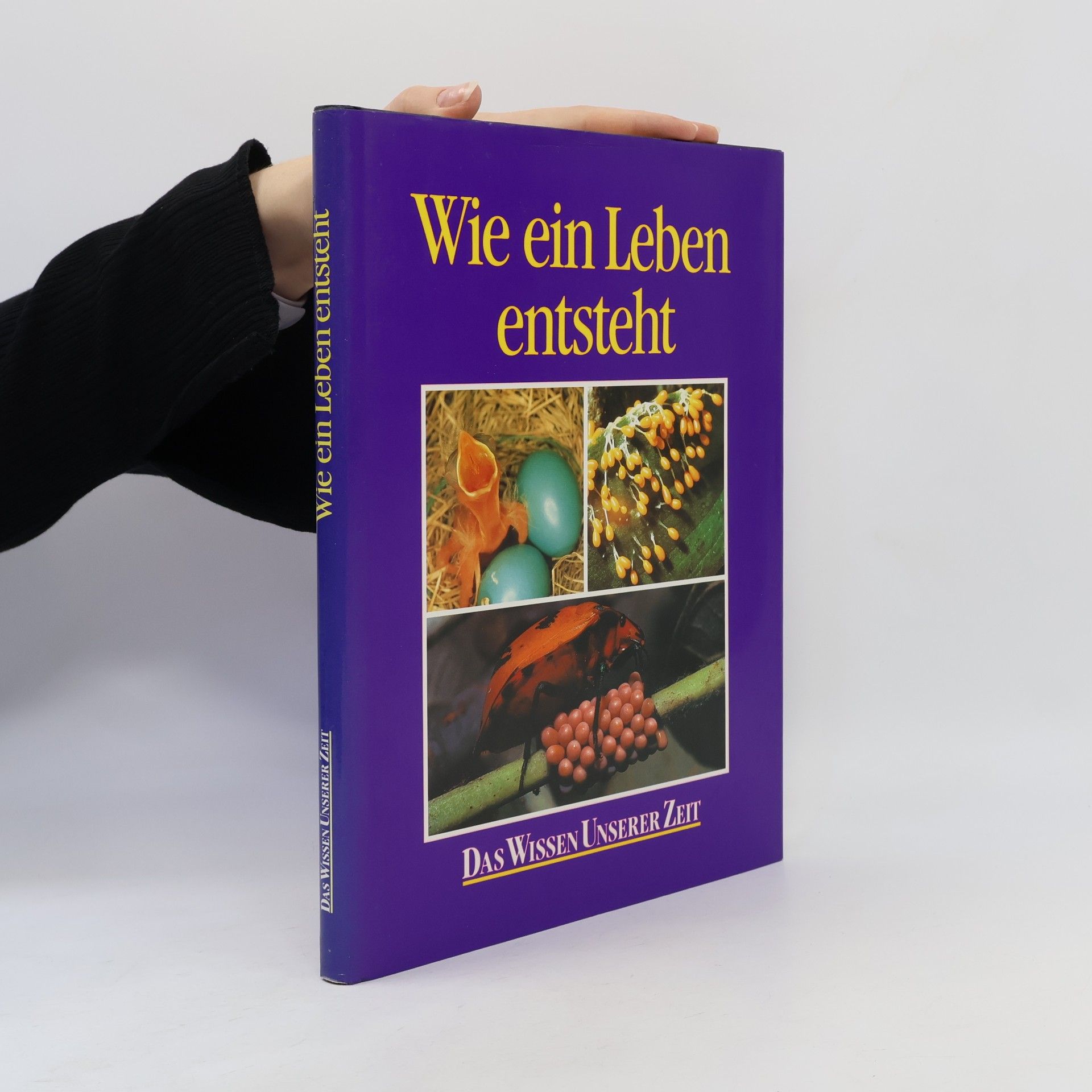 Lars Hamberger Wie ein Leben ensteht
