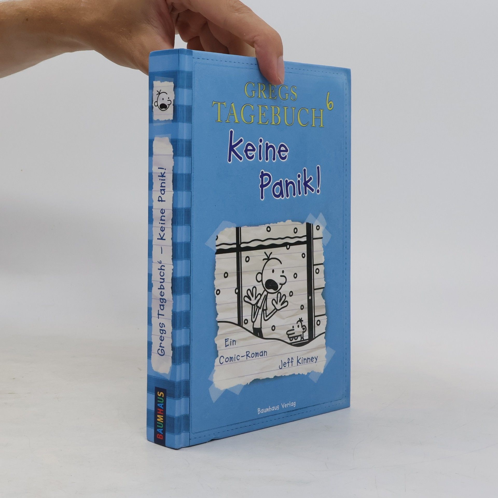 Gregs Tagebuch 6. Keine Panik!
