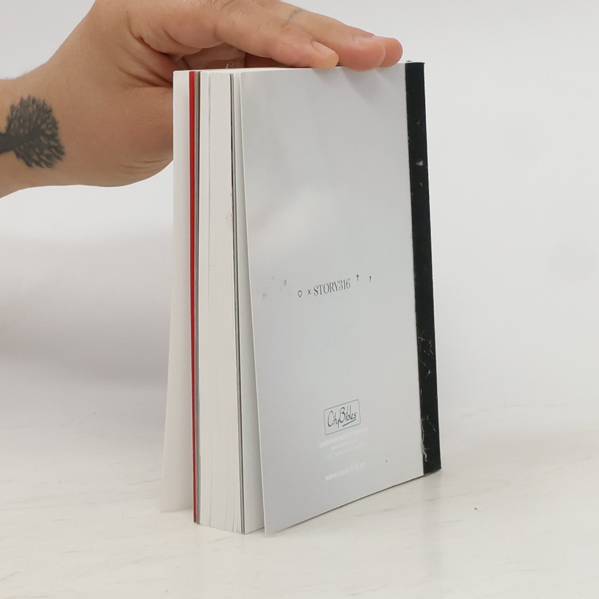 Kolektiv autorů Story316. Ukranian New Testament