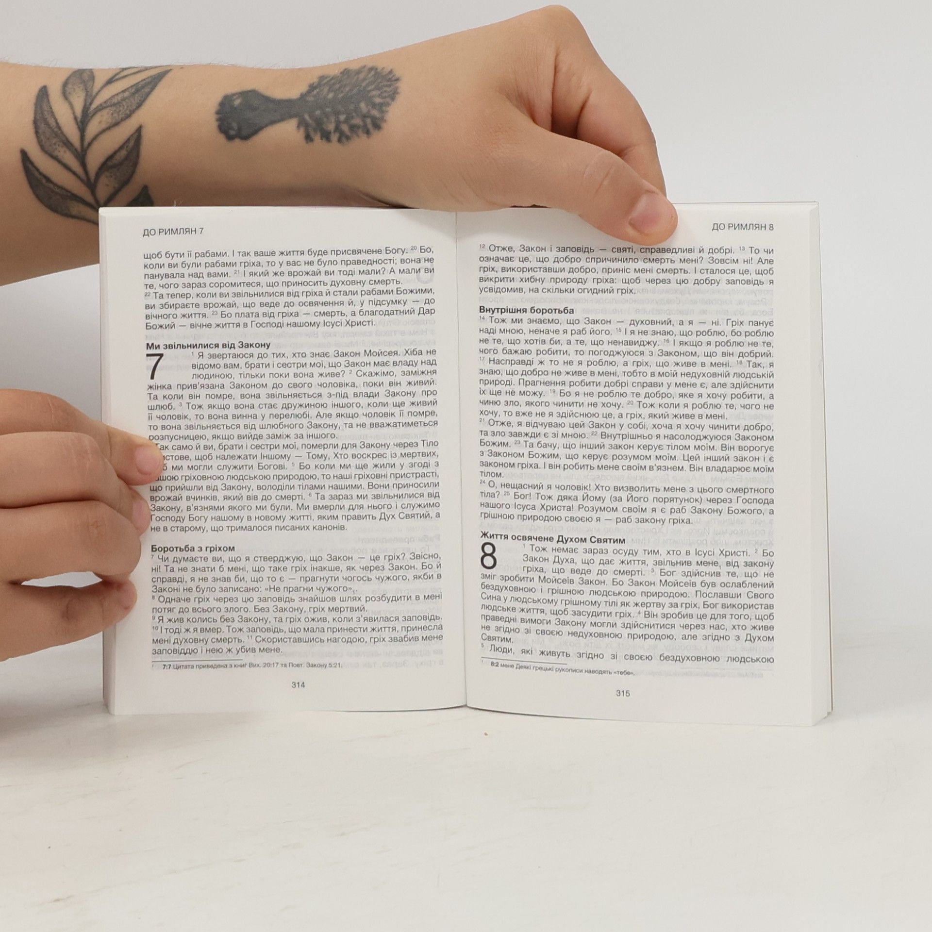 Kolektiv autorů Story316. Ukranian New Testament