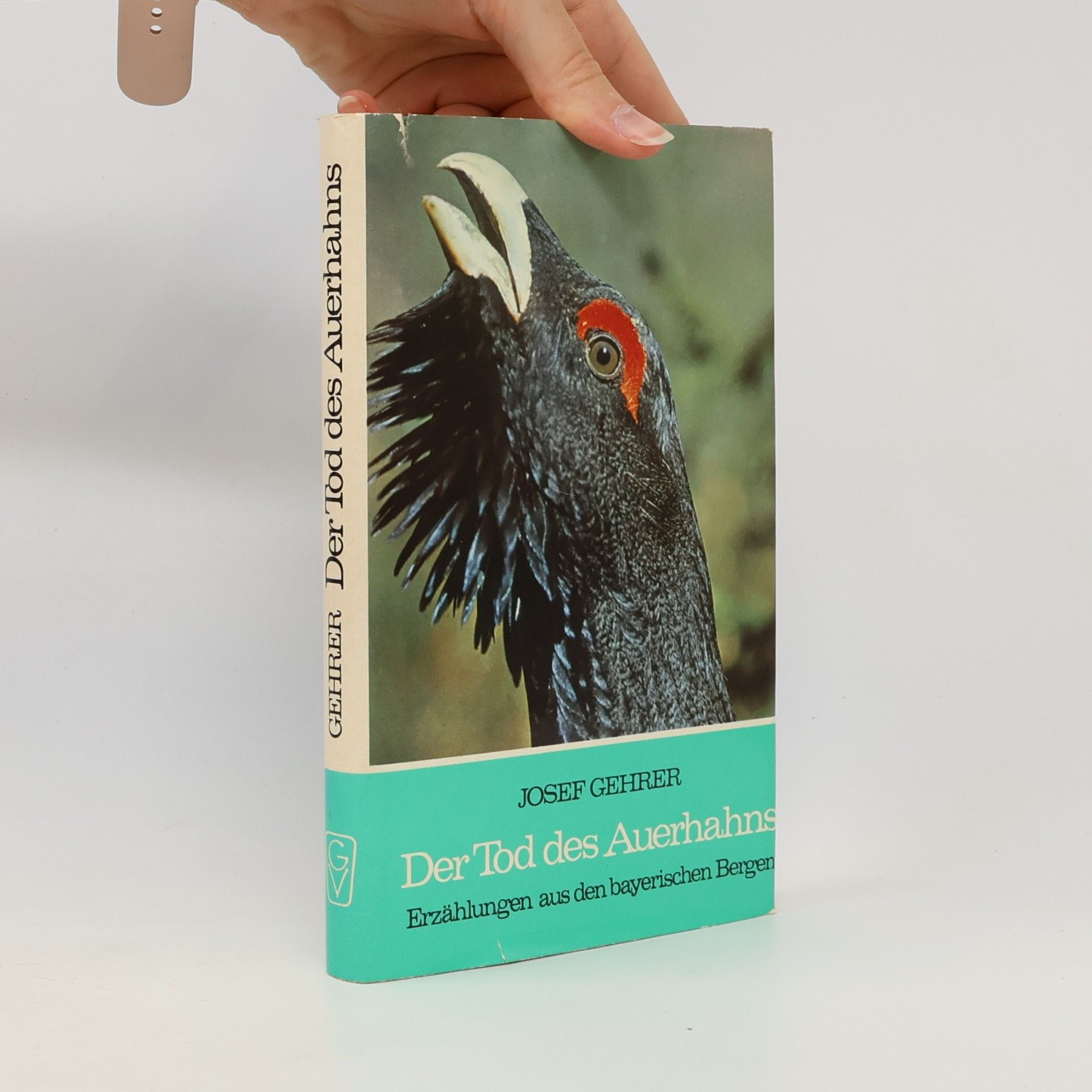 Josef Gehrer Der Tod des Auerhahns