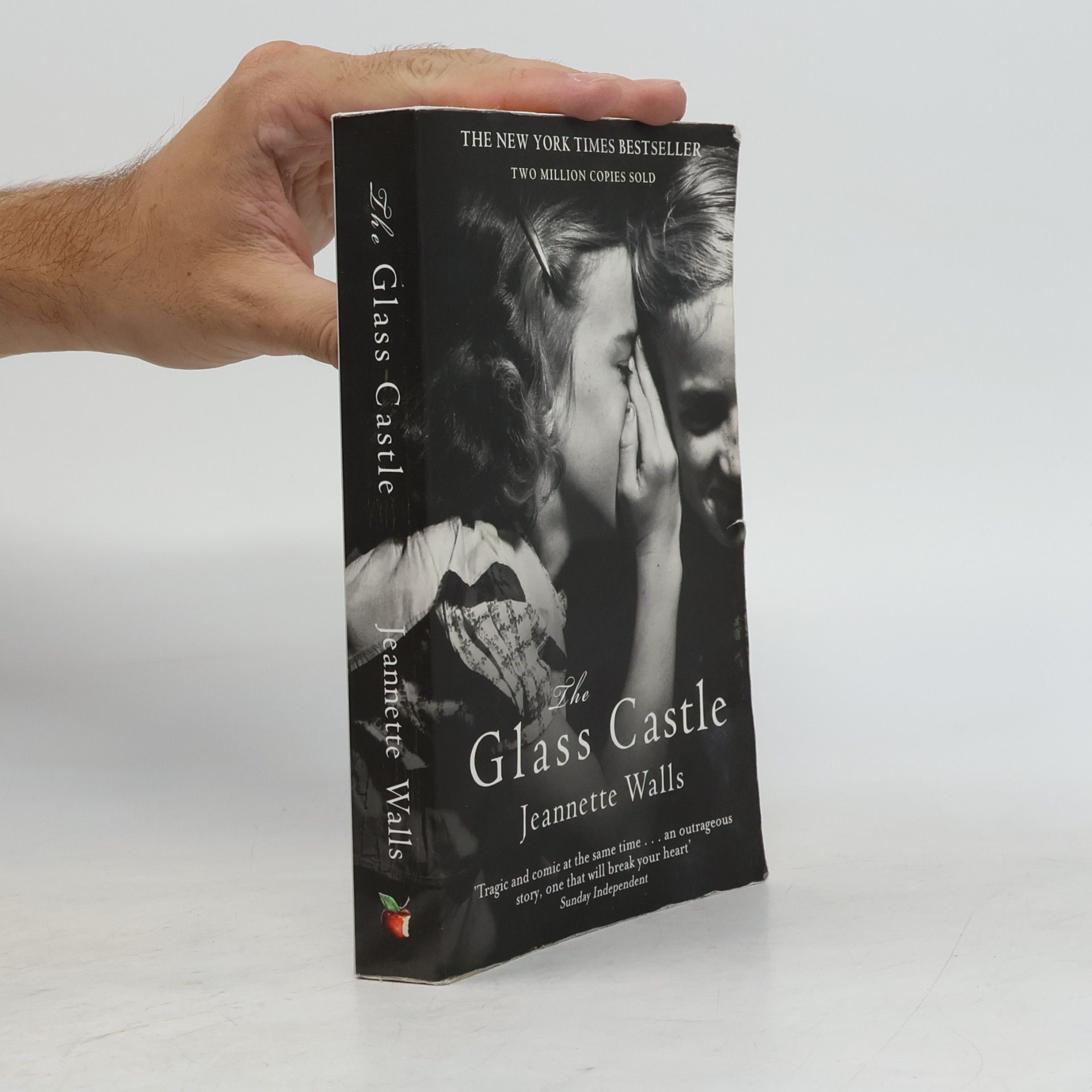 Jeannette Walls The glass castle