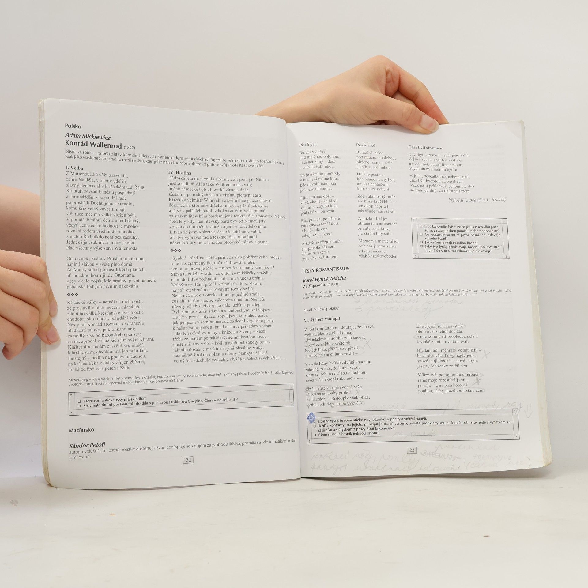Marie Sochrová Čítanka k literatuře v kostce II