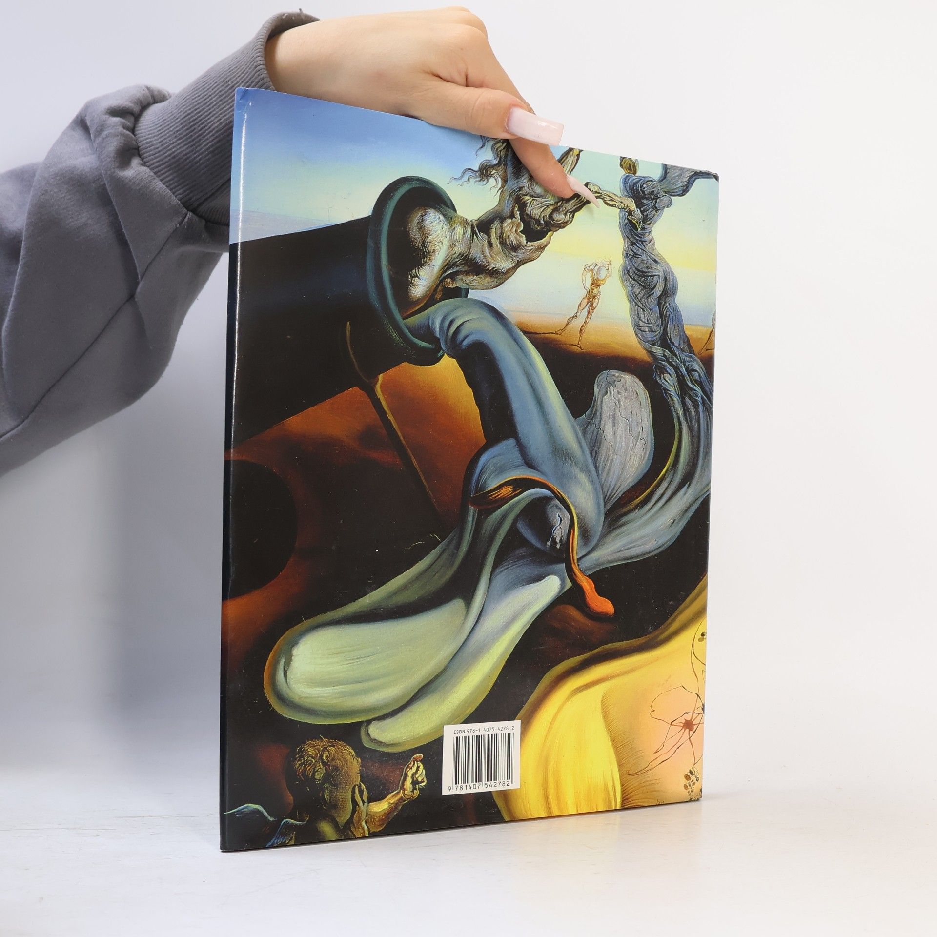 Norbert Wolf Salvador Dalí