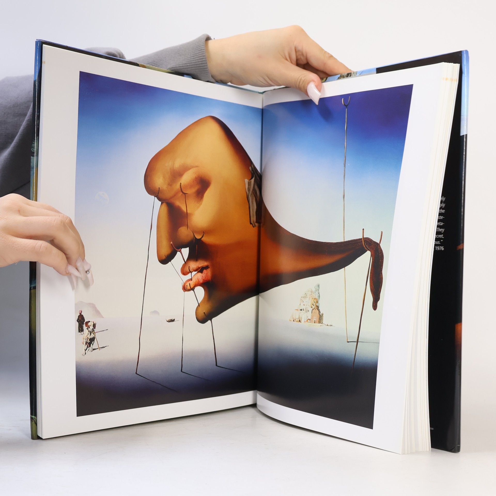 Norbert Wolf Salvador Dalí
