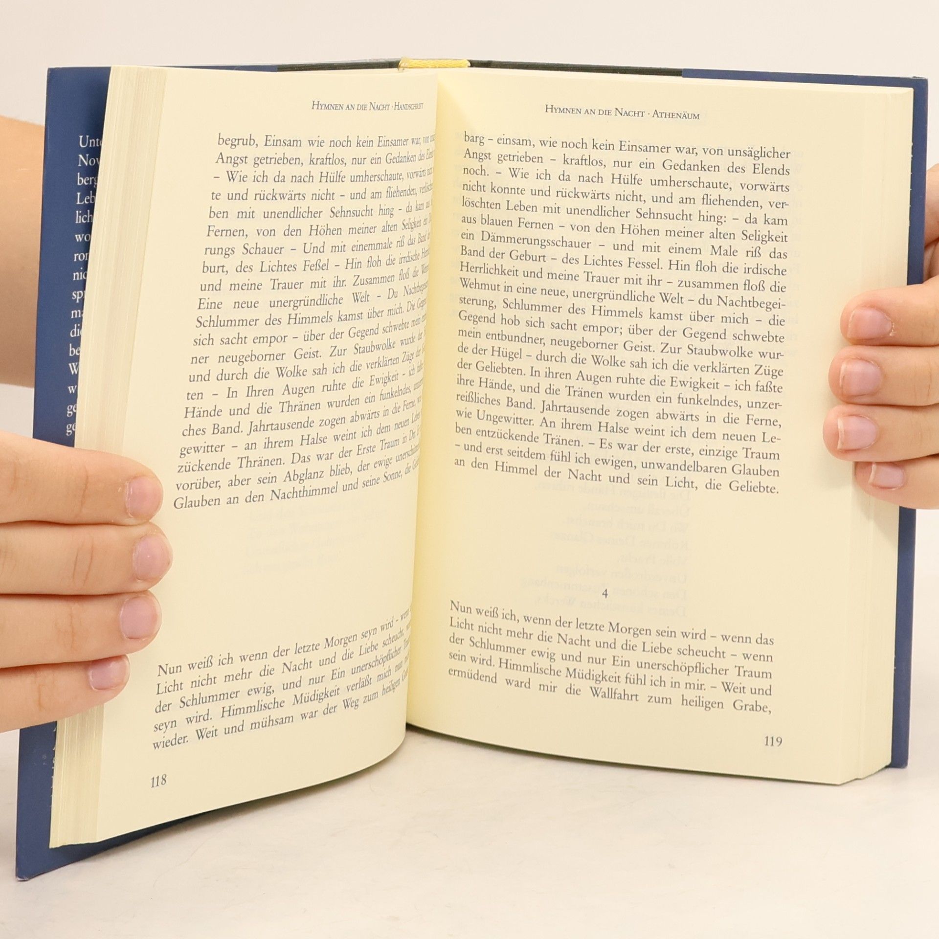 Novalis Heinrich von Ofterdingen und andere Dichterische Schriften