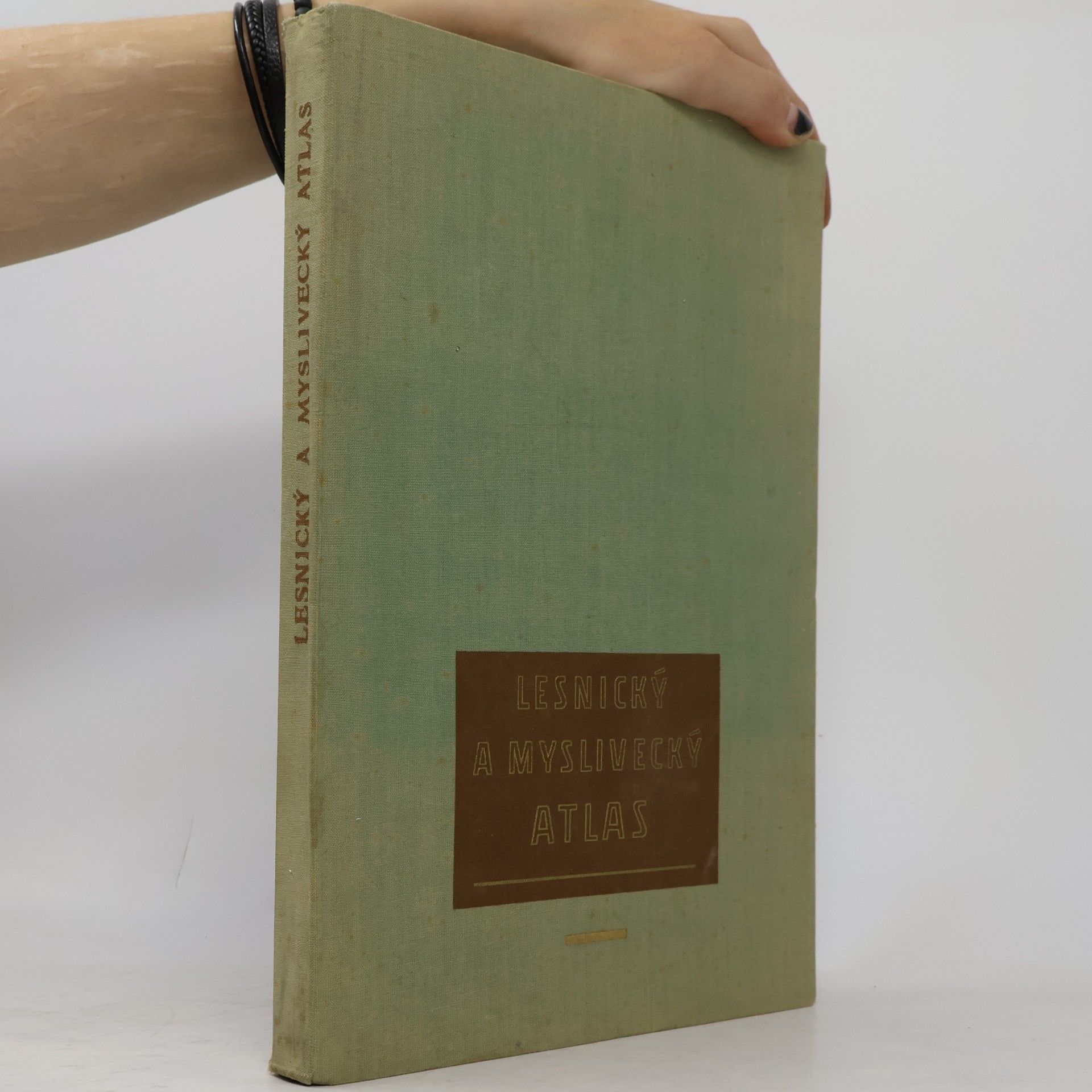 Kolektív autorov Lesnický a myslivecký atlas