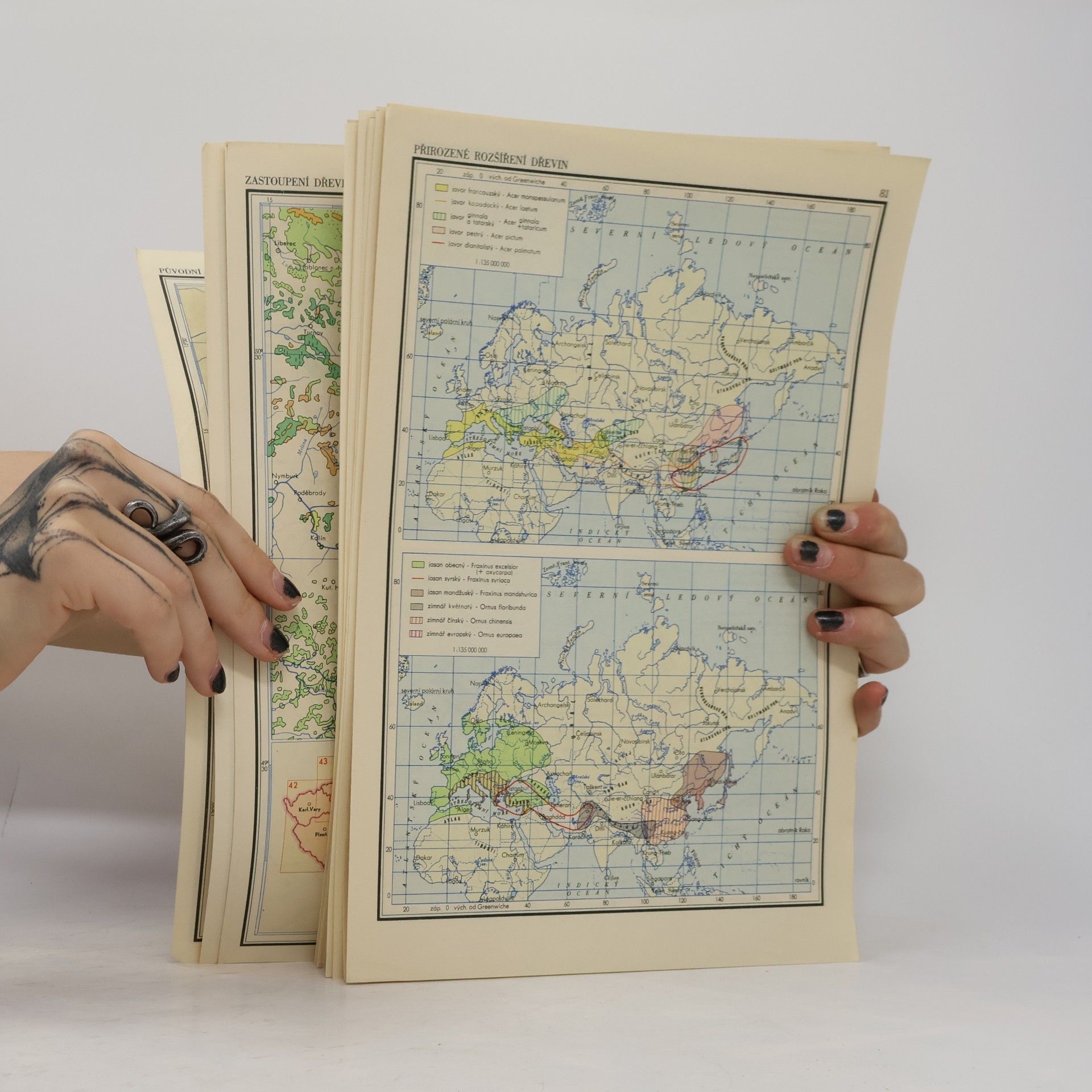 Kolektív autorov Lesnický a myslivecký atlas