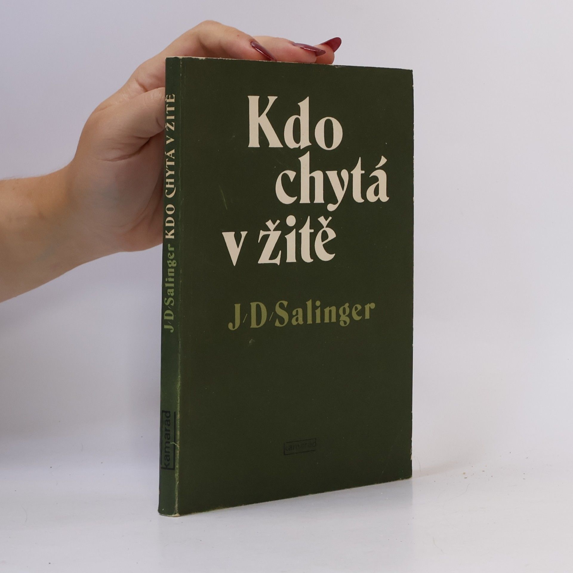 J. D. Salinger Kdo chytá v žitě
