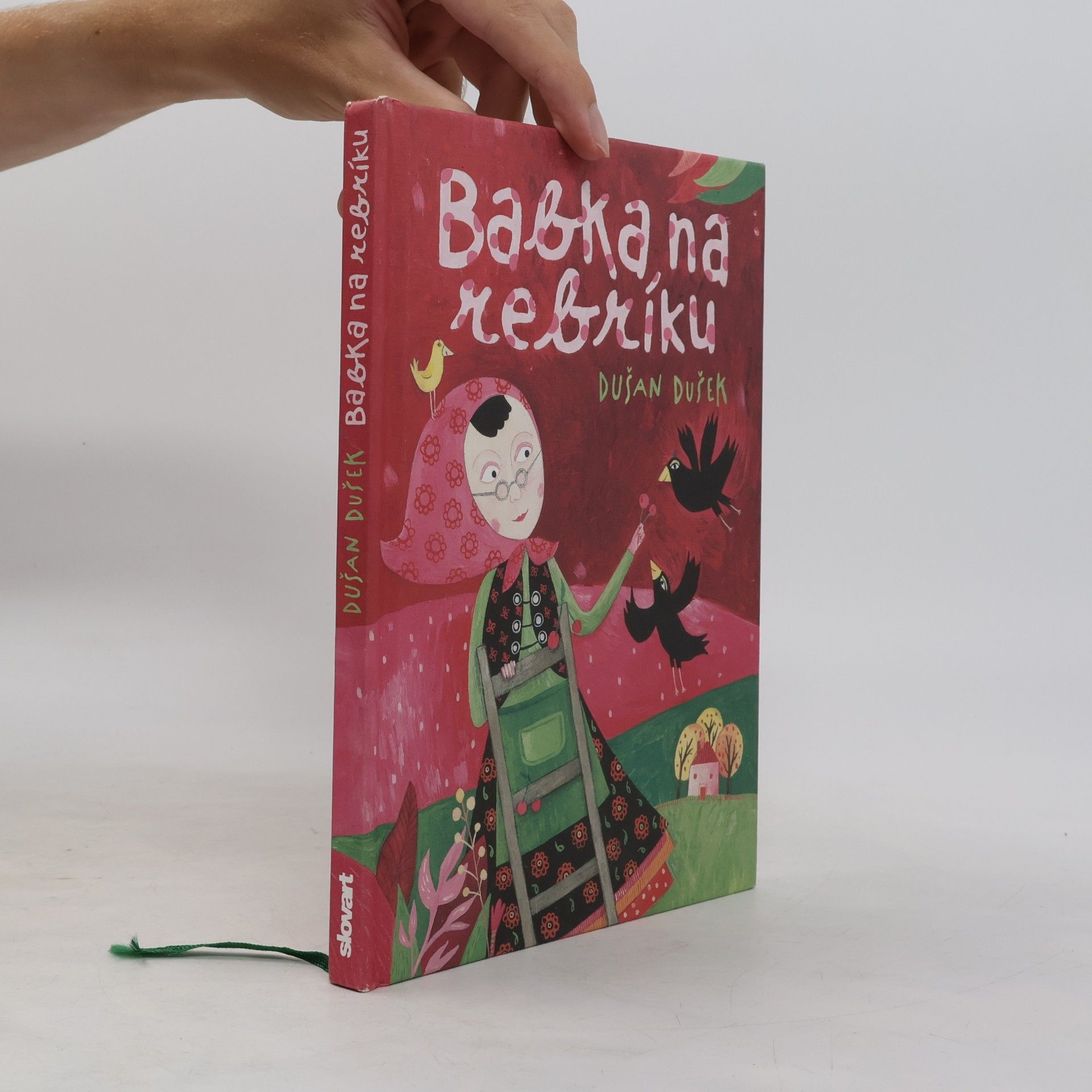 Dušan Dušek Babka na rebríku