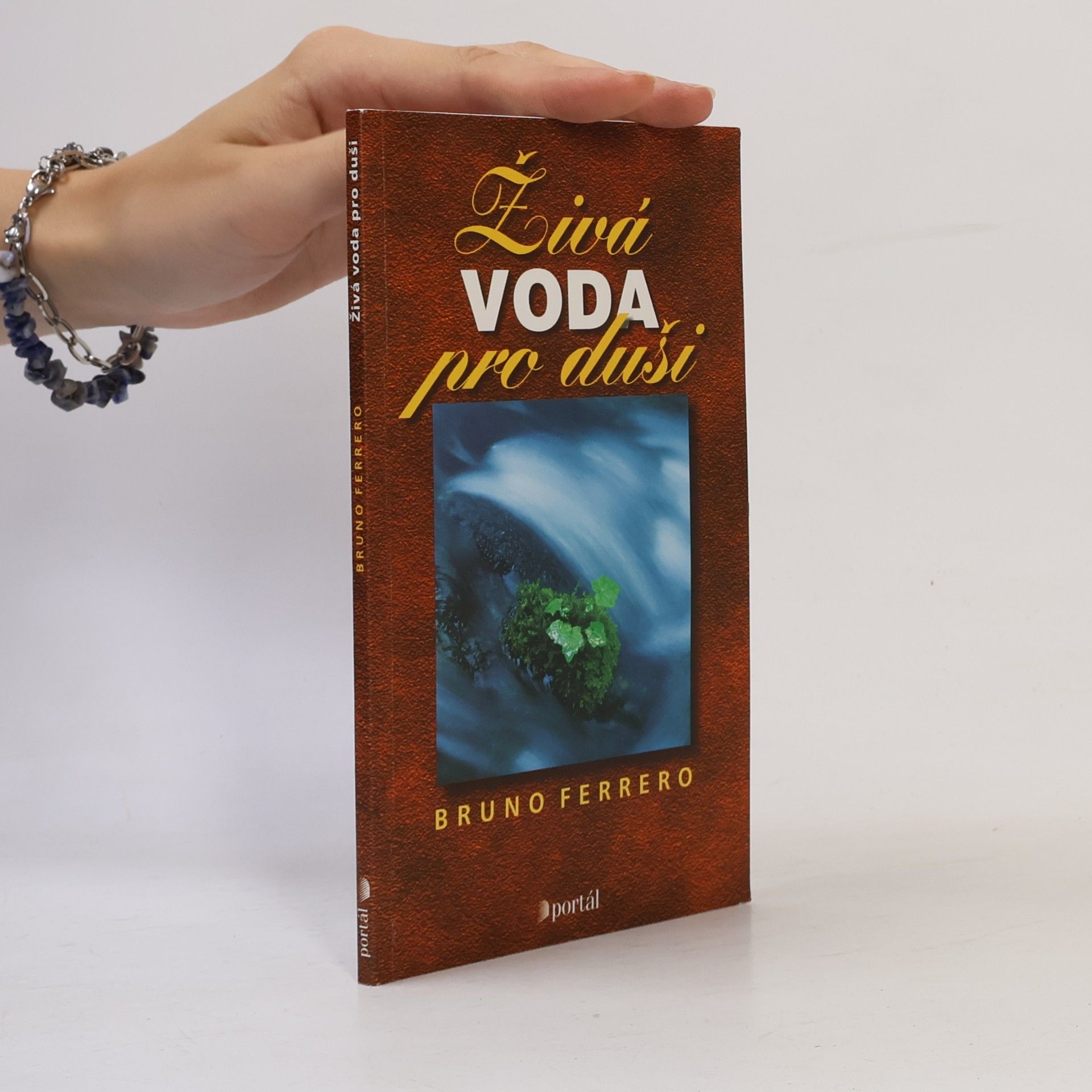Bruno Ferrero Živá voda pro duši