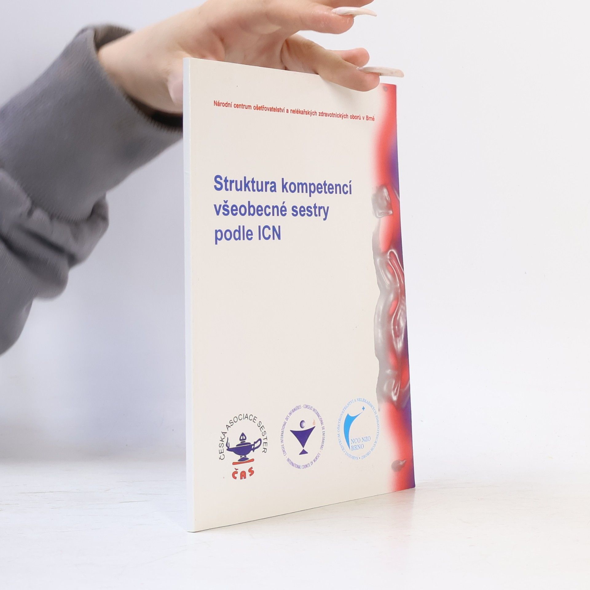 Mezinárodní rada sester Struktura kompetencí všeobecné sestry podle ICN