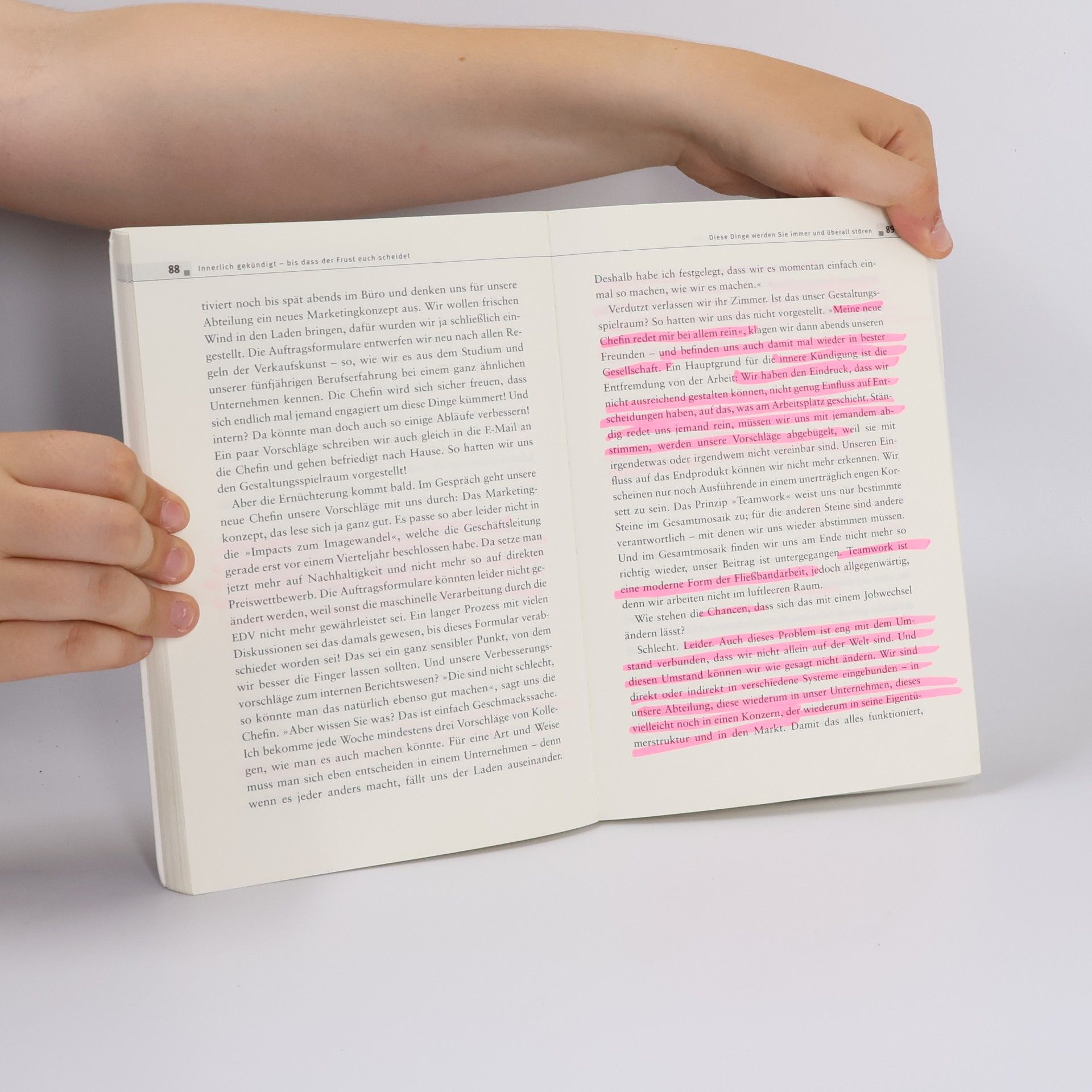 Volker Kitz Das Frustjobkillerbuch