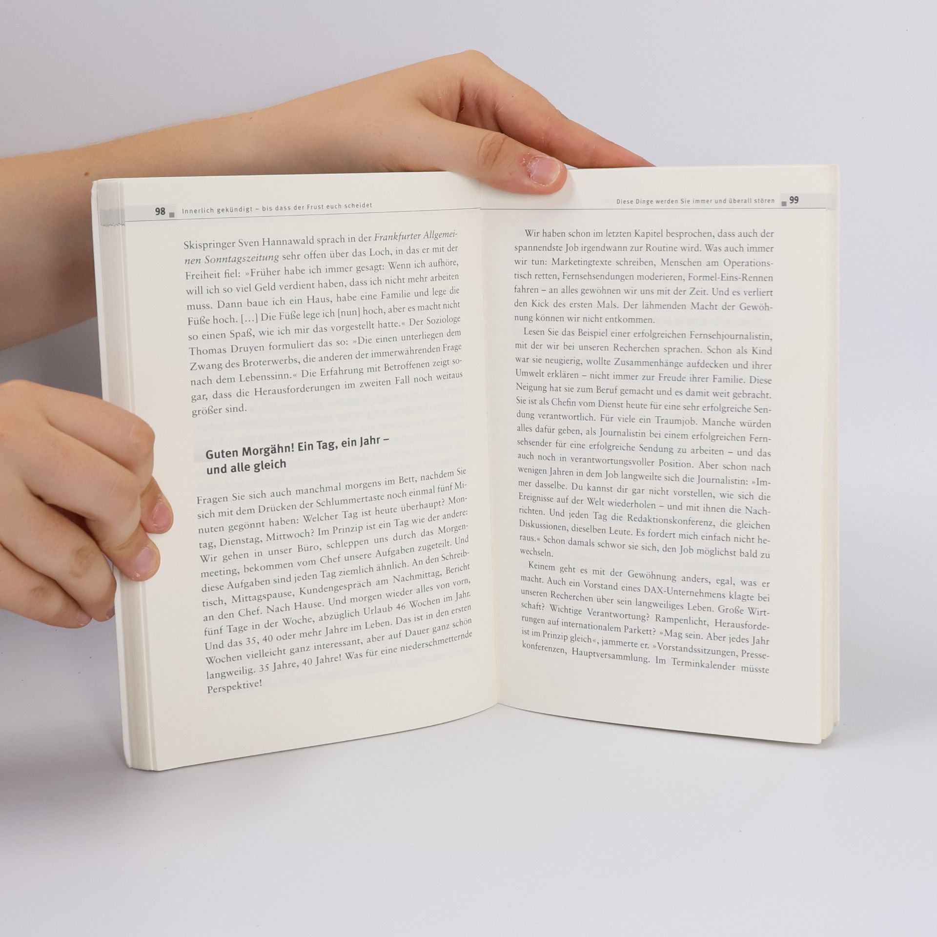 Volker Kitz Das Frustjobkillerbuch