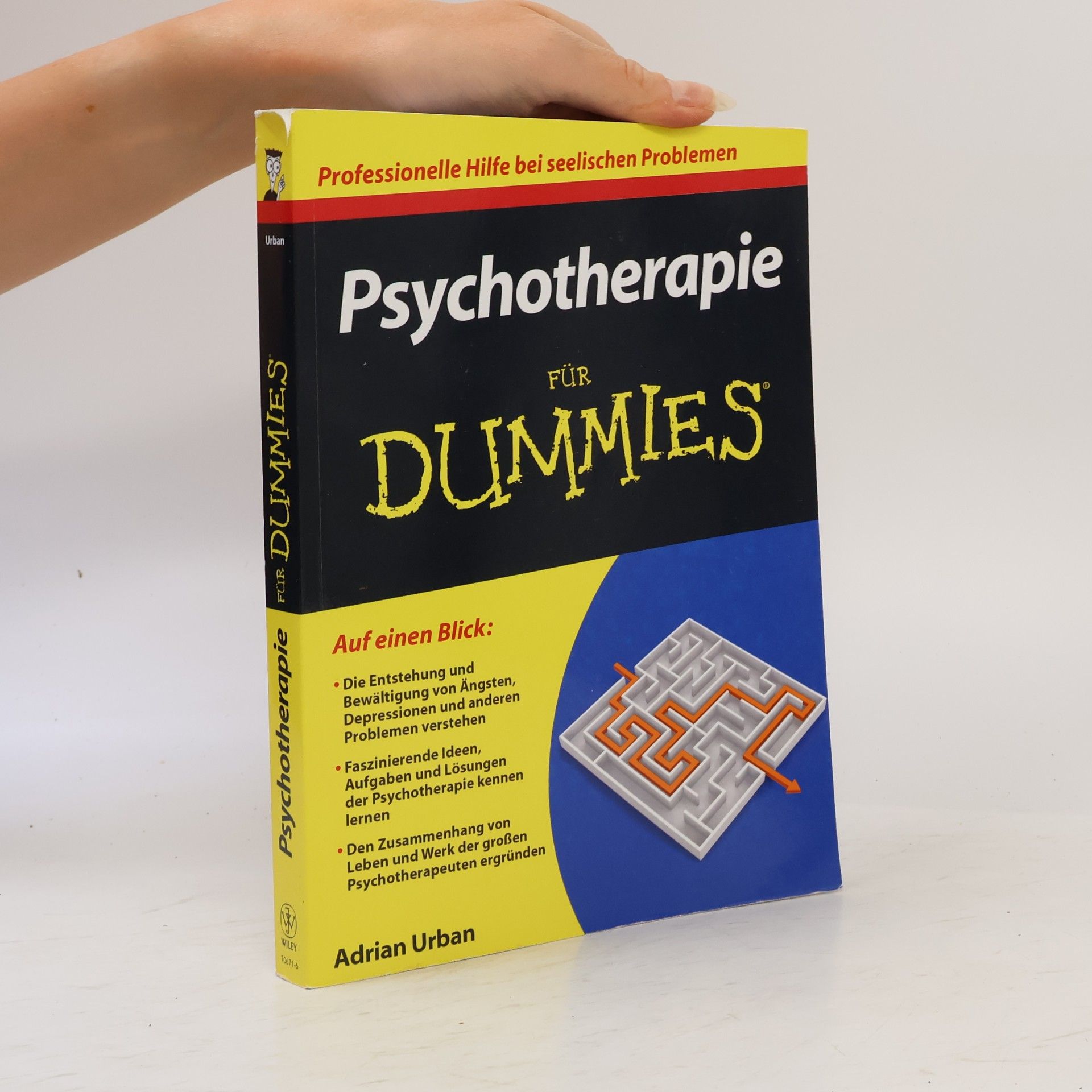 Adrian Urban Psychotherapie für Dummies