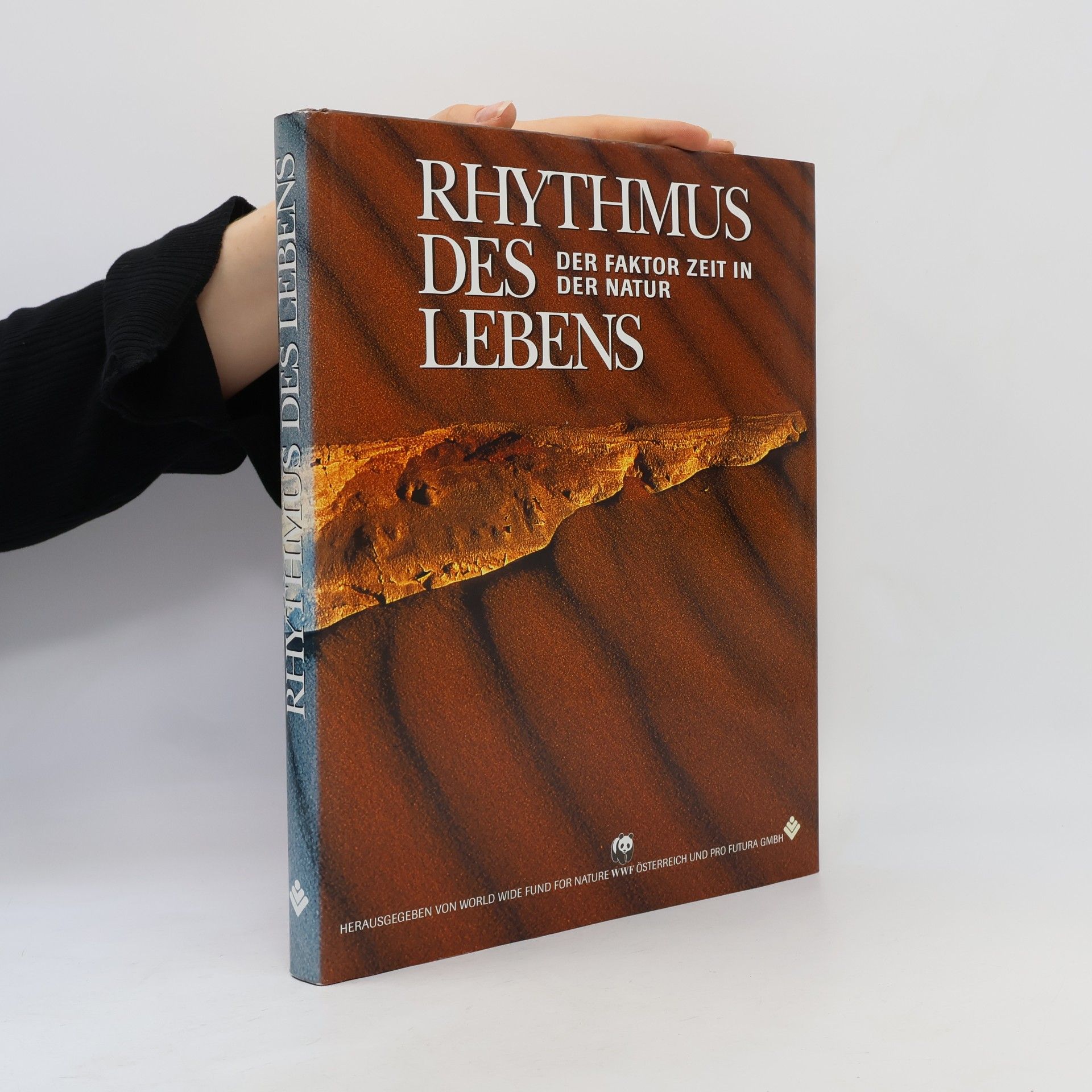 Autorenkollektiv Rhytmus des Lebens: Der Faktor Zeit in der Natur