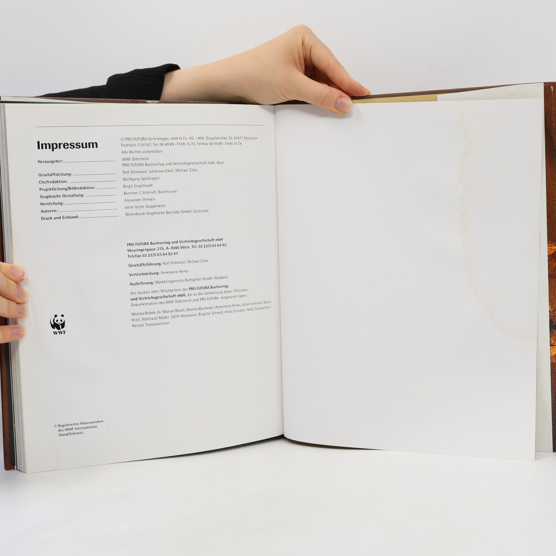 Autorenkollektiv Rhytmus des Lebens: Der Faktor Zeit in der Natur
