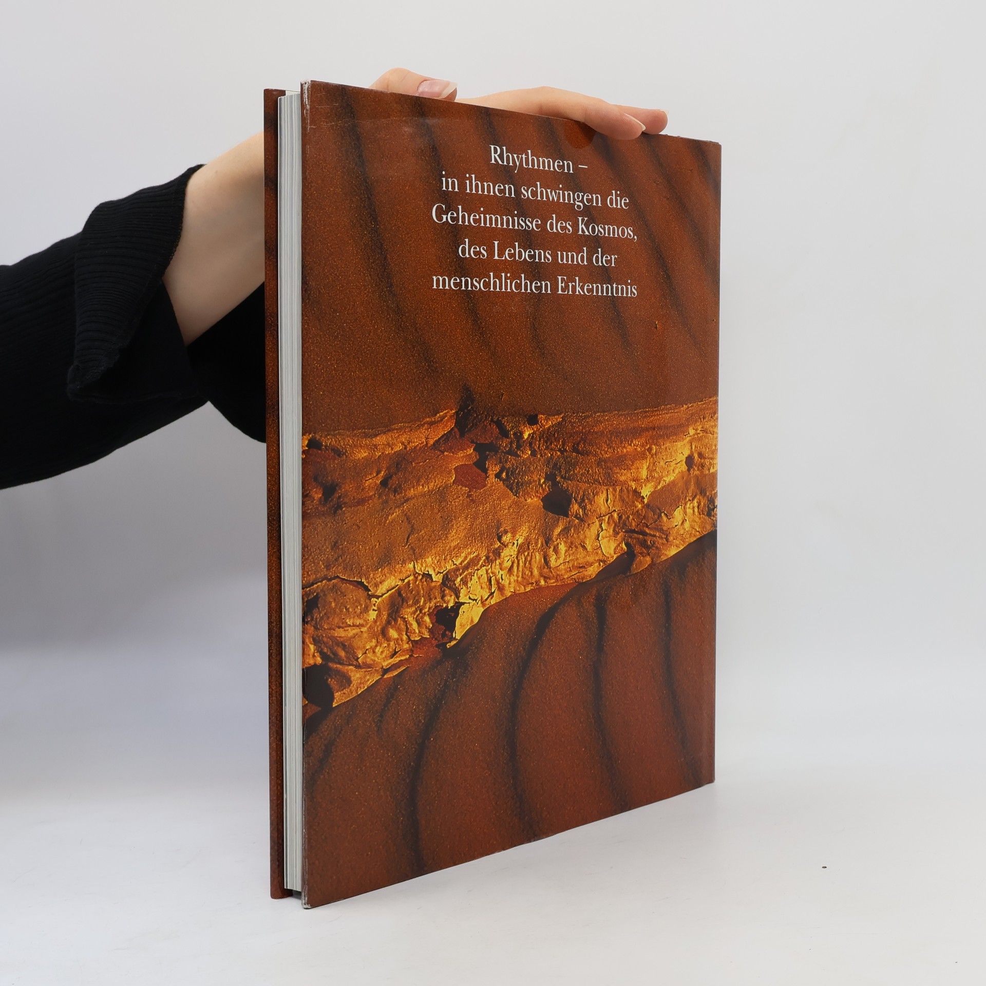 Autorenkollektiv Rhytmus des Lebens: Der Faktor Zeit in der Natur